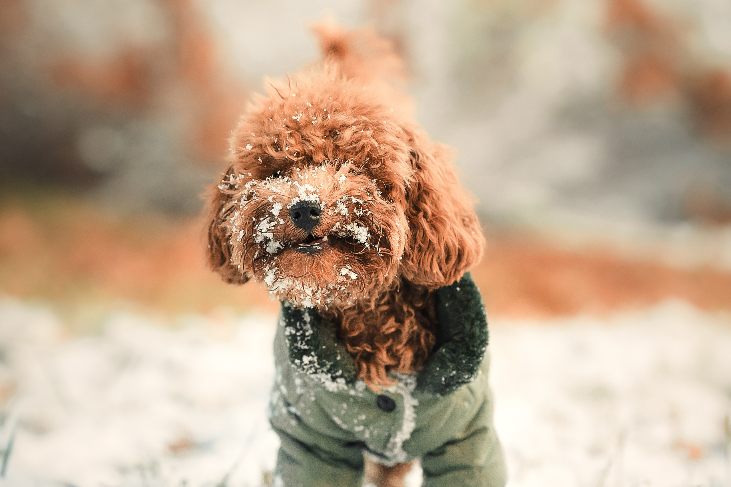 Наталья и Руби