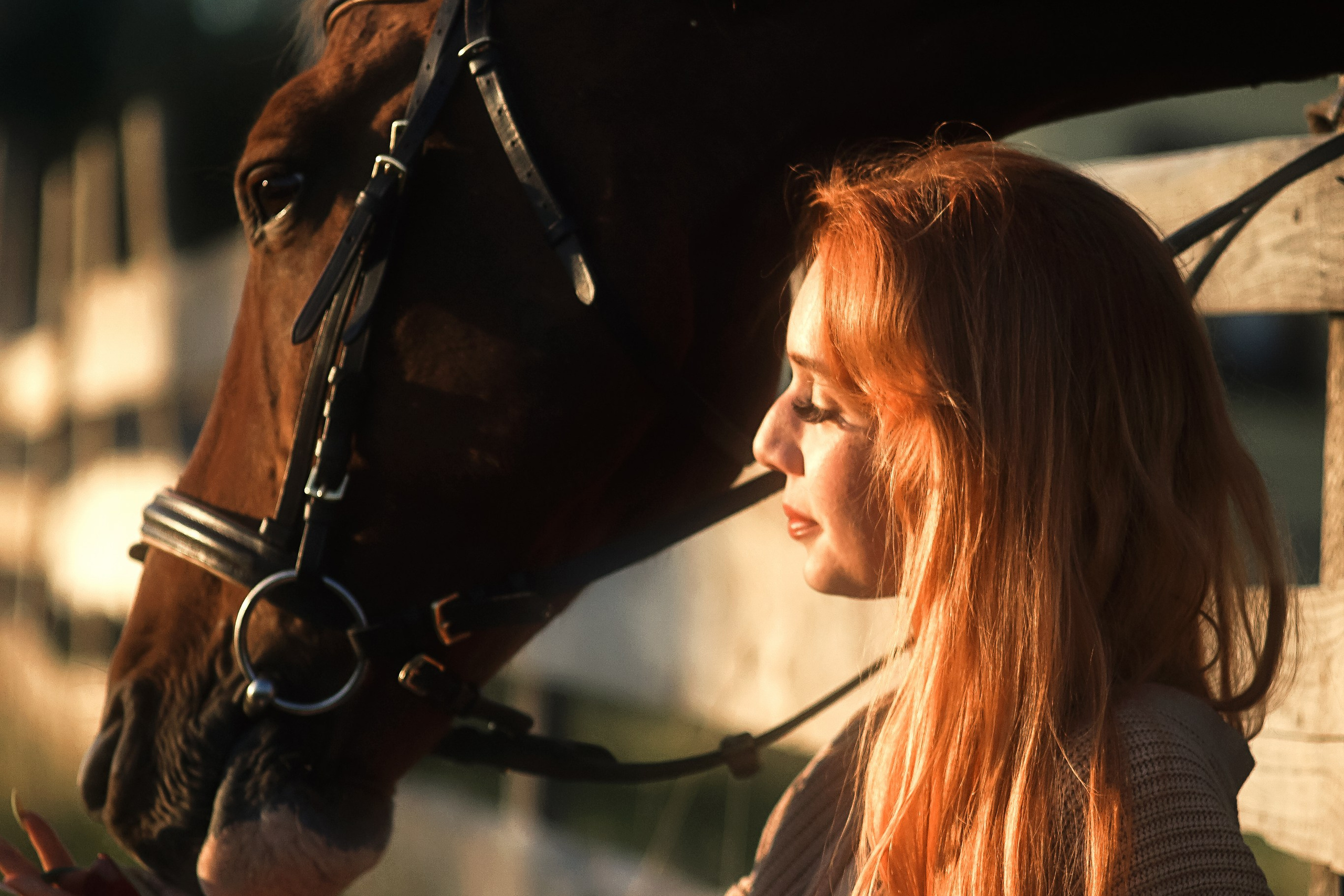 Фотограф анималист Москва