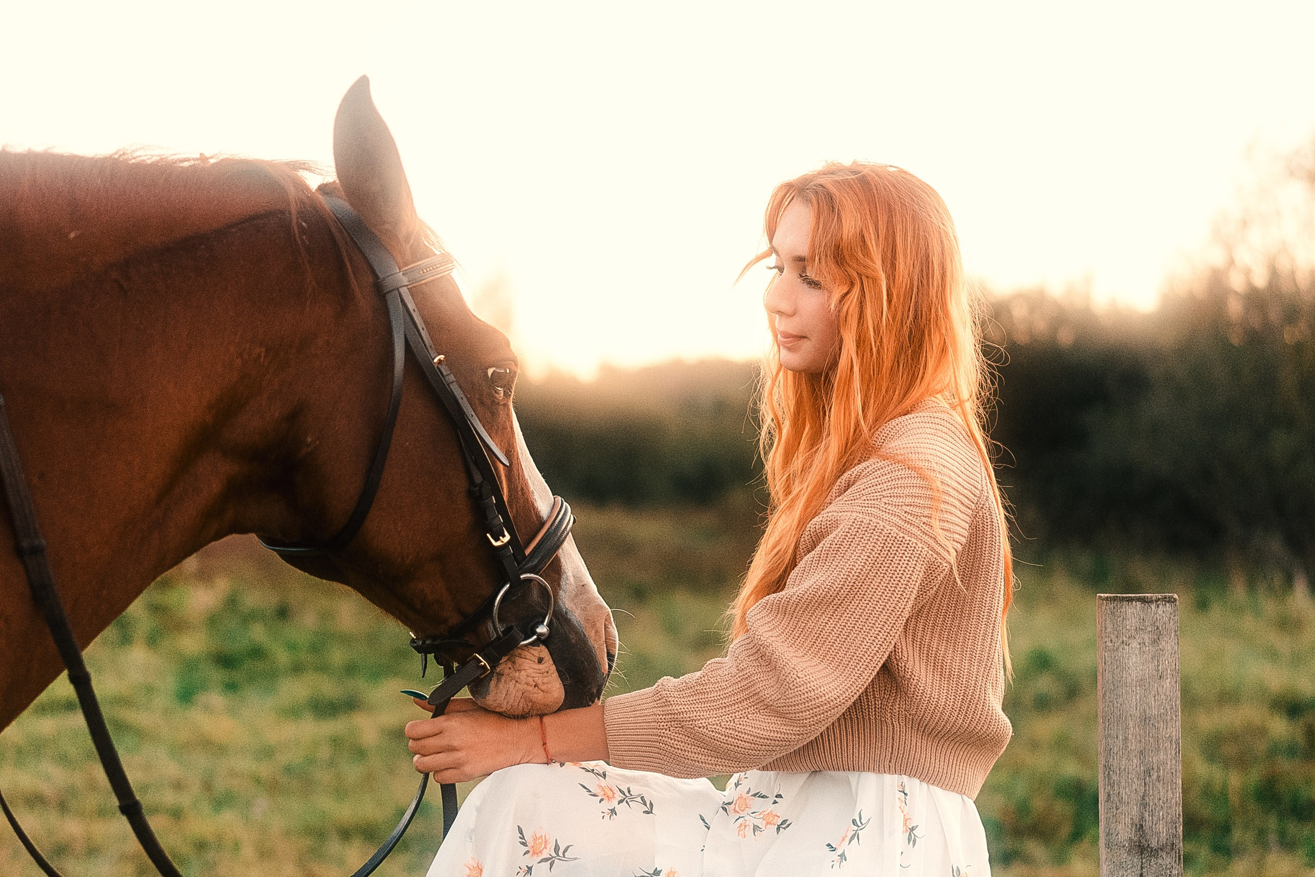Красивые фотографии с лошадью