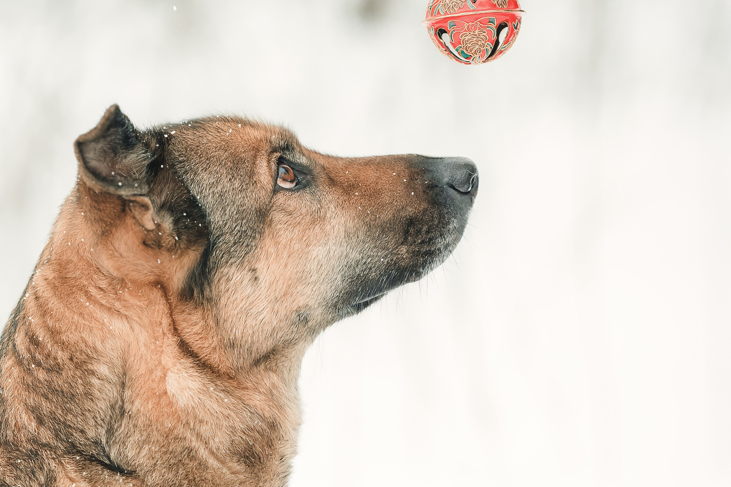 Анна и Руна