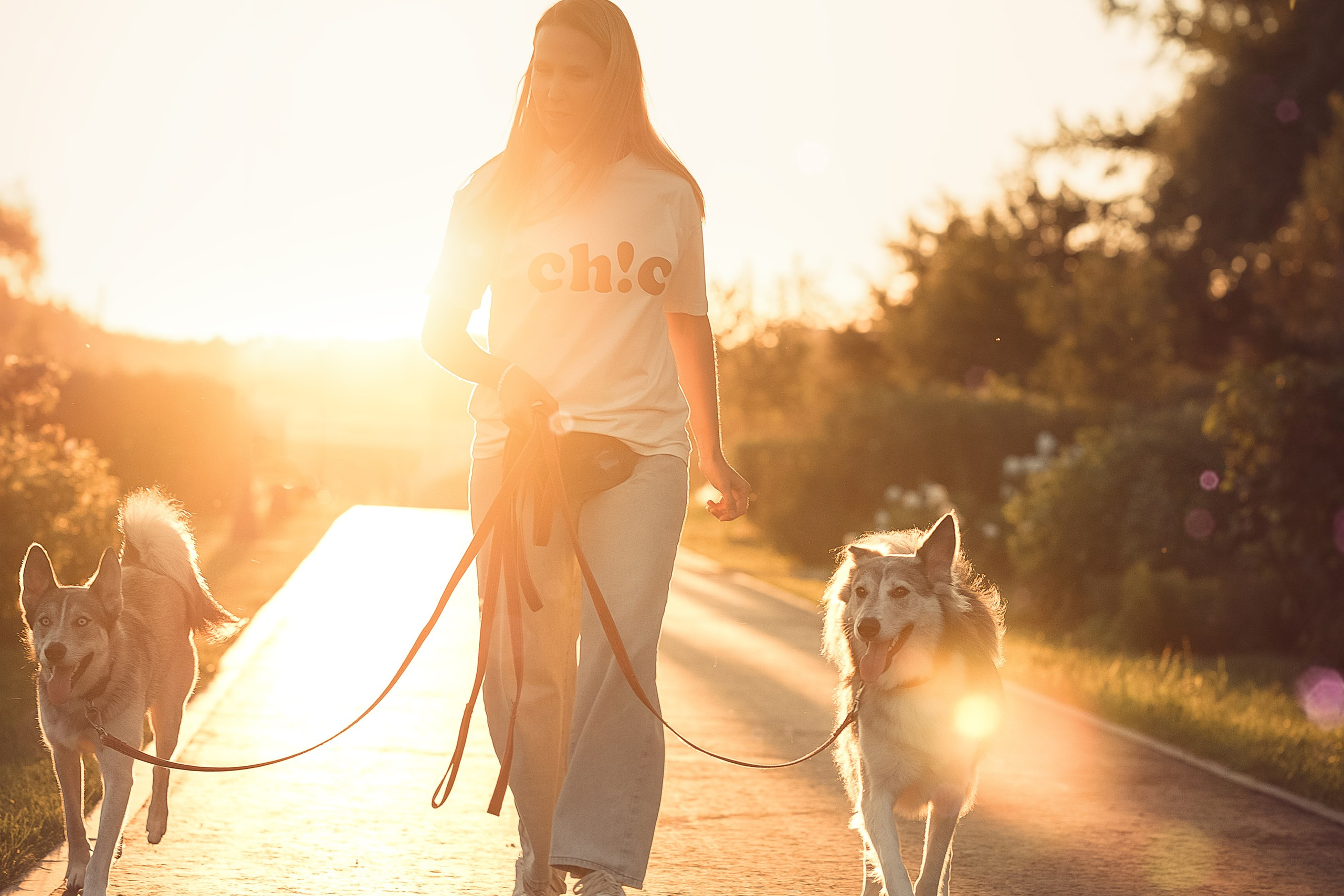 Вера, Лора и Вольт