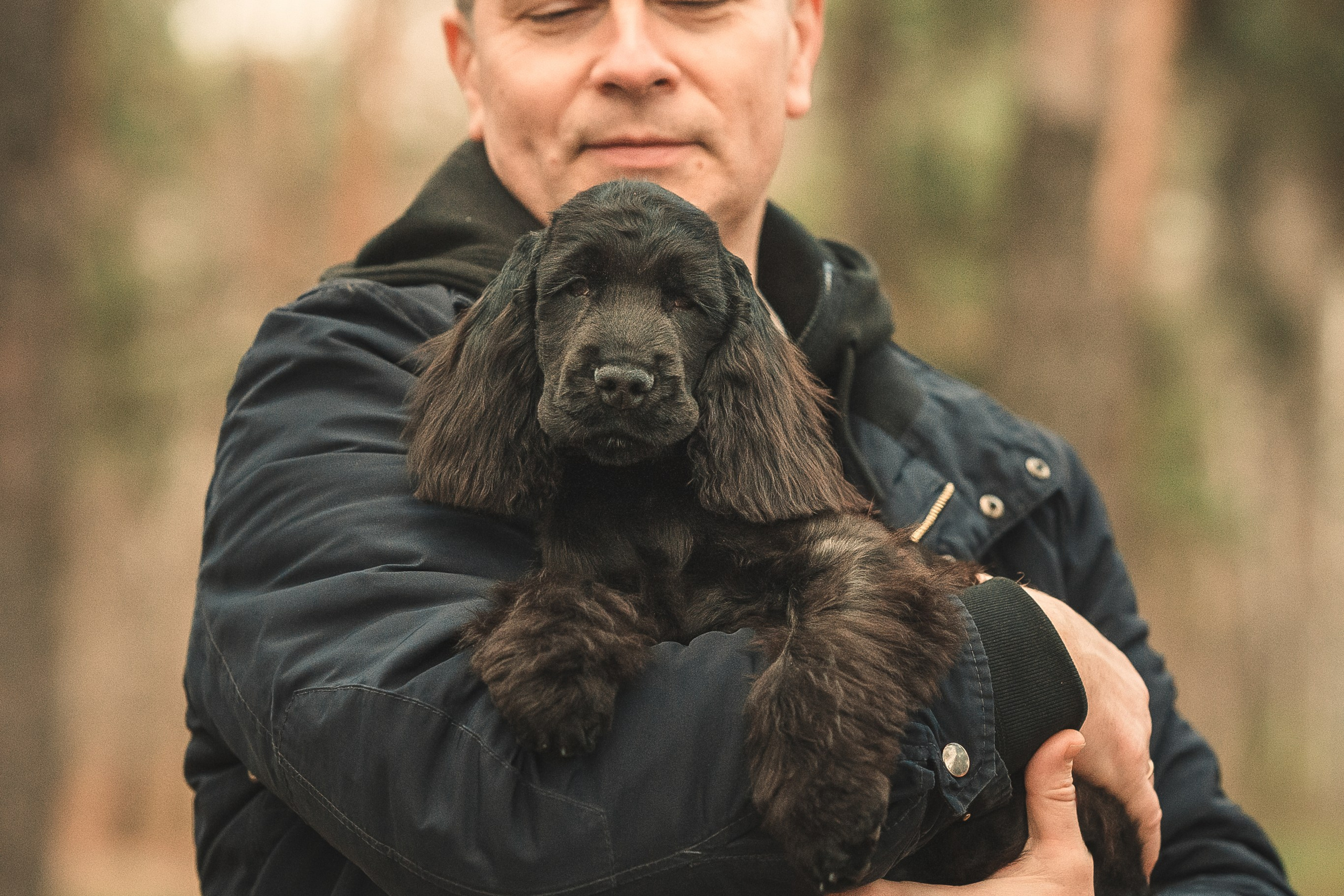 Спаниелька Мери