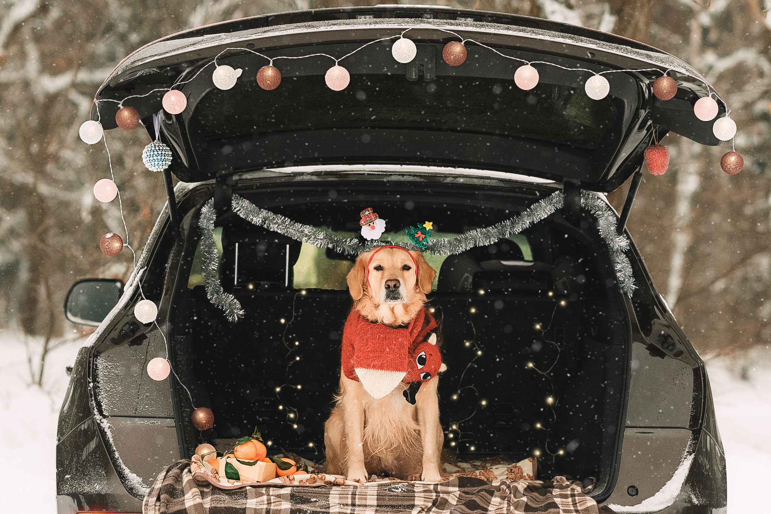 Анна и Сонечка