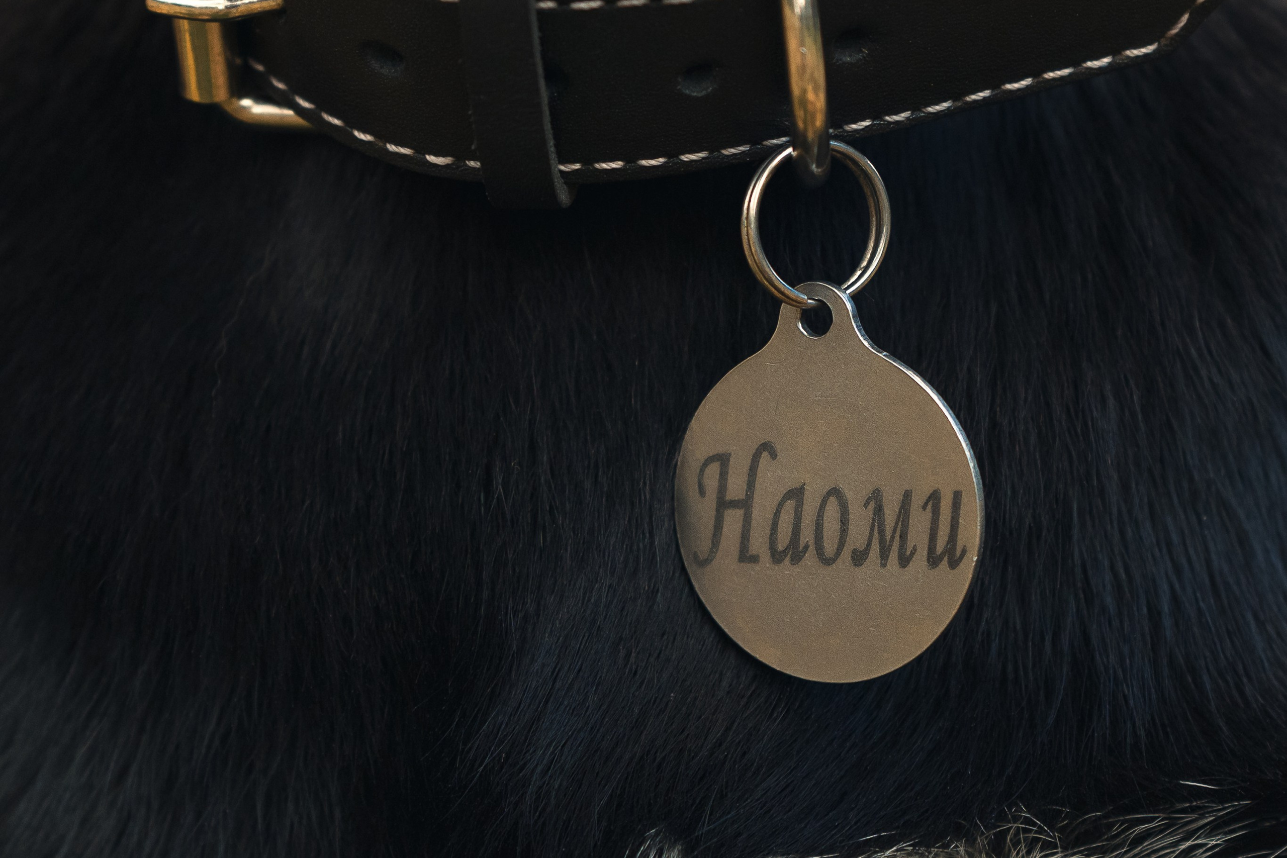 Полина, Антон и Наоми