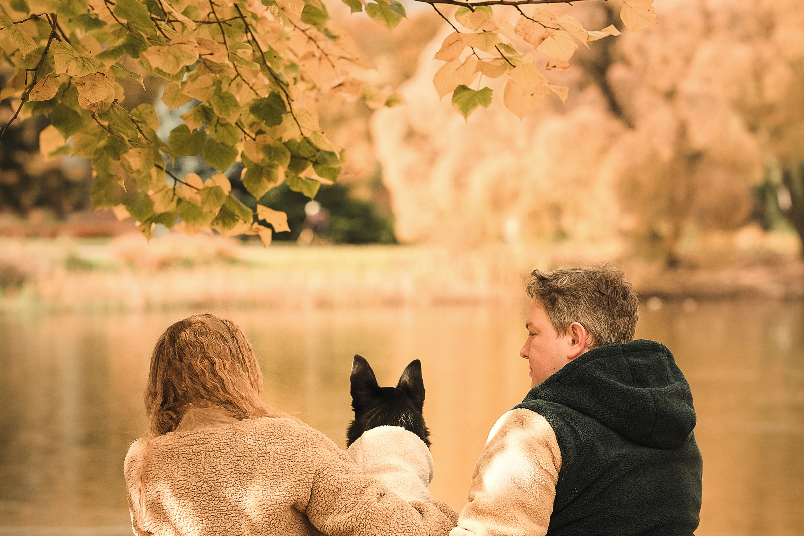 Фотосессия с собакой в Москве