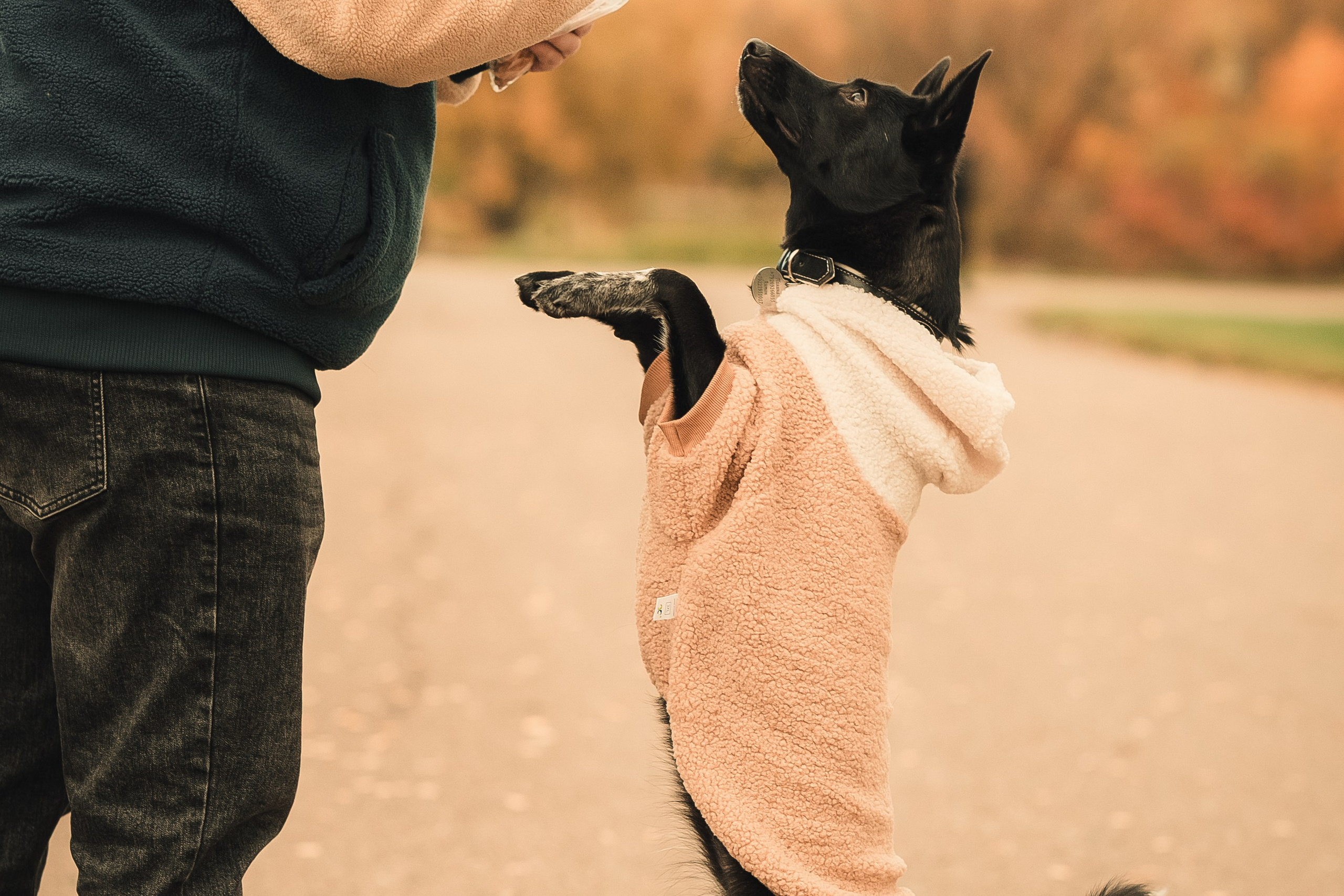 Полина, Антон и Наоми