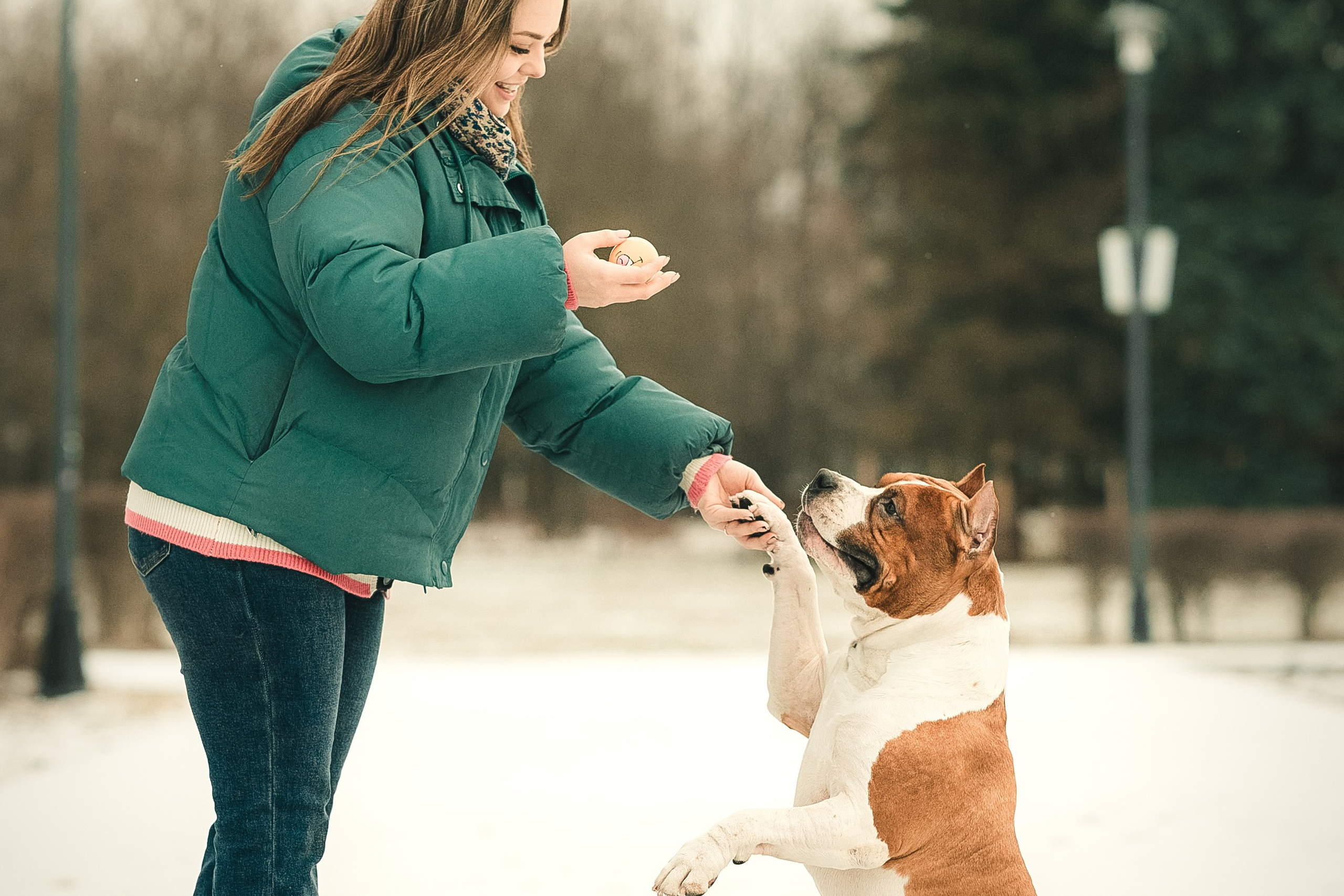 Анна и Феникс
