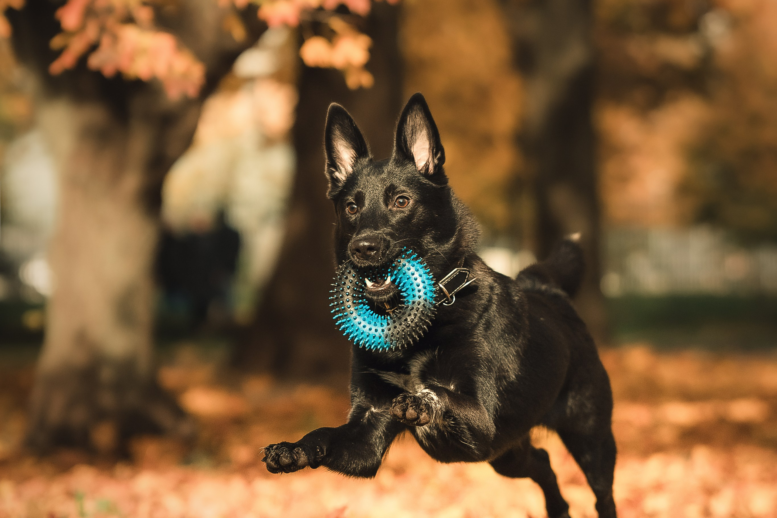 Полина, Антон и Наоми