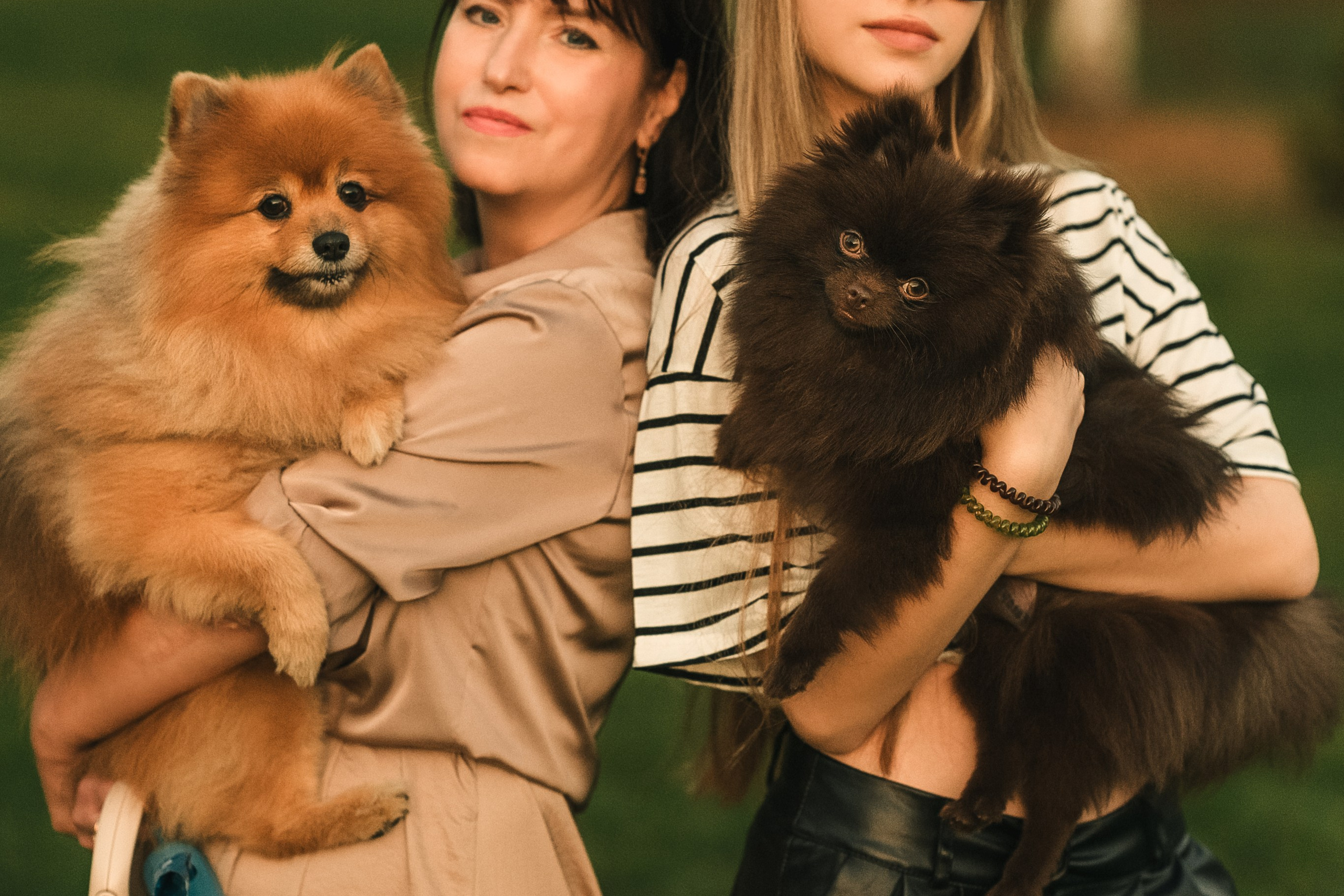 Людмила, Ника и шпицульки