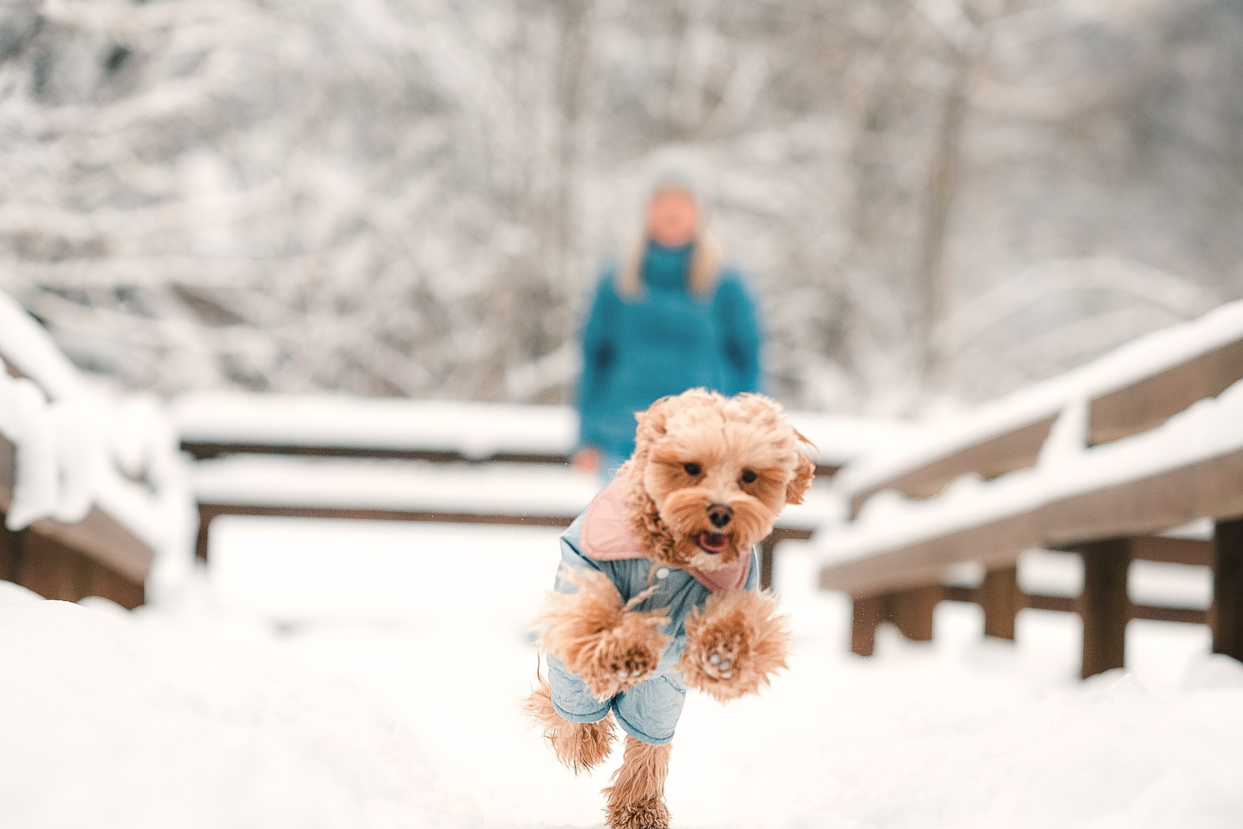 Марина и Чарли