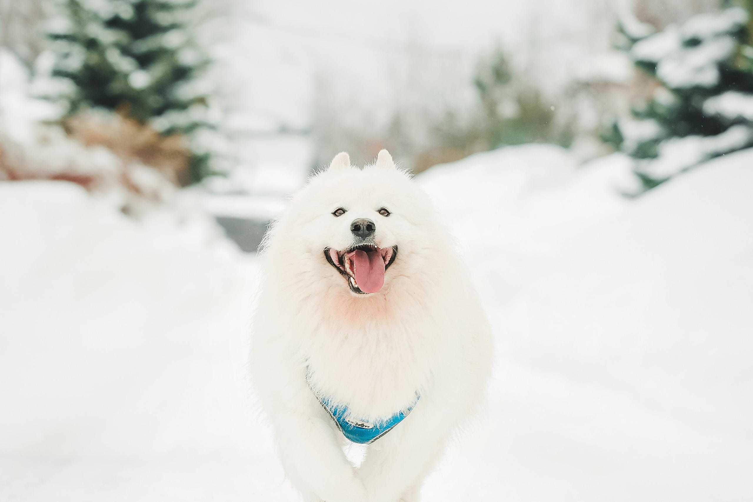 Юрий, Марианна и Санни