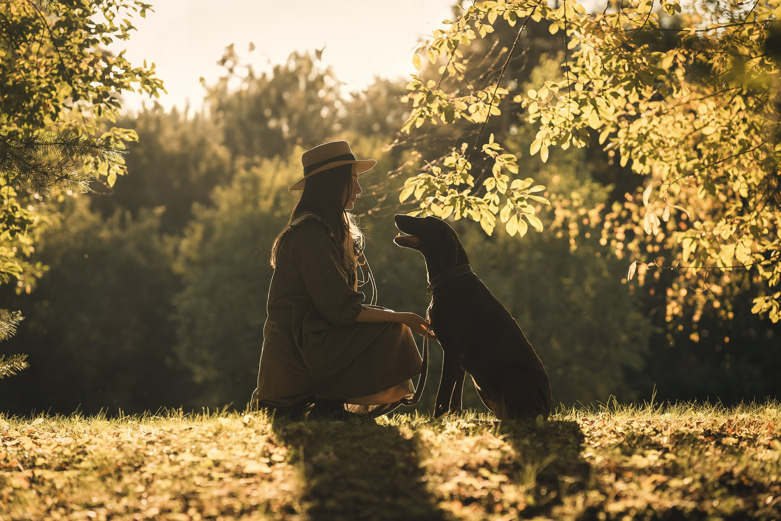 Прогулка в Мещерском парке с собакой