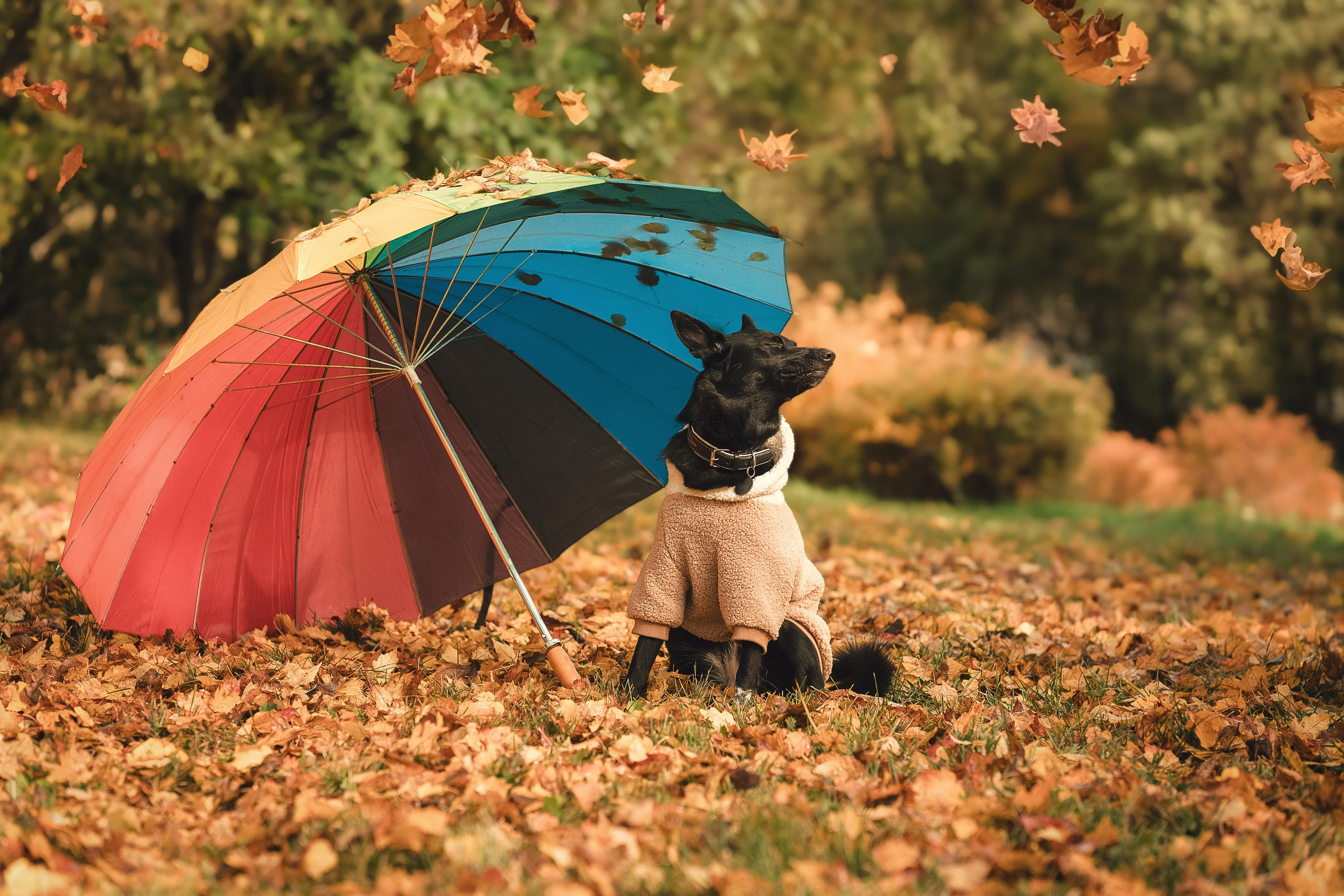 Полина, Антон и Наоми