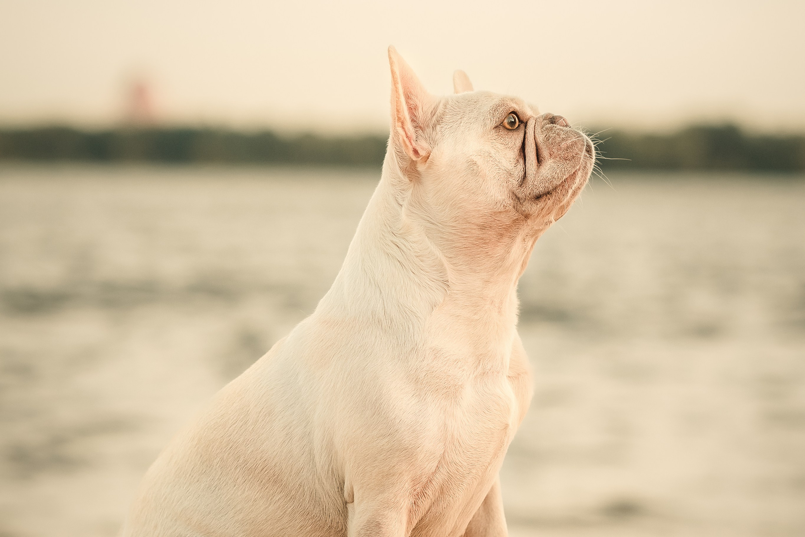 Светлана и Маруся