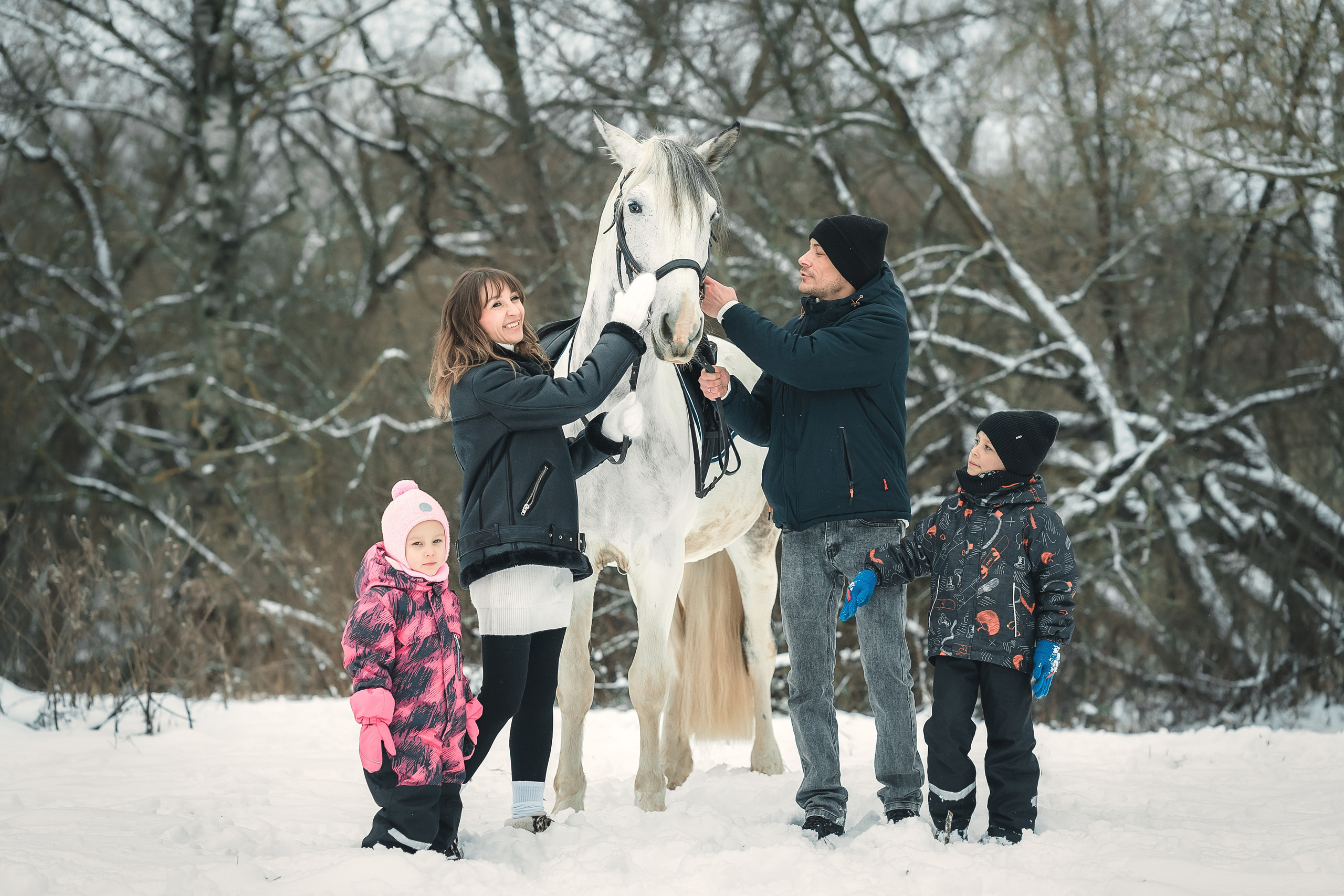 Съёмки с лошадьми