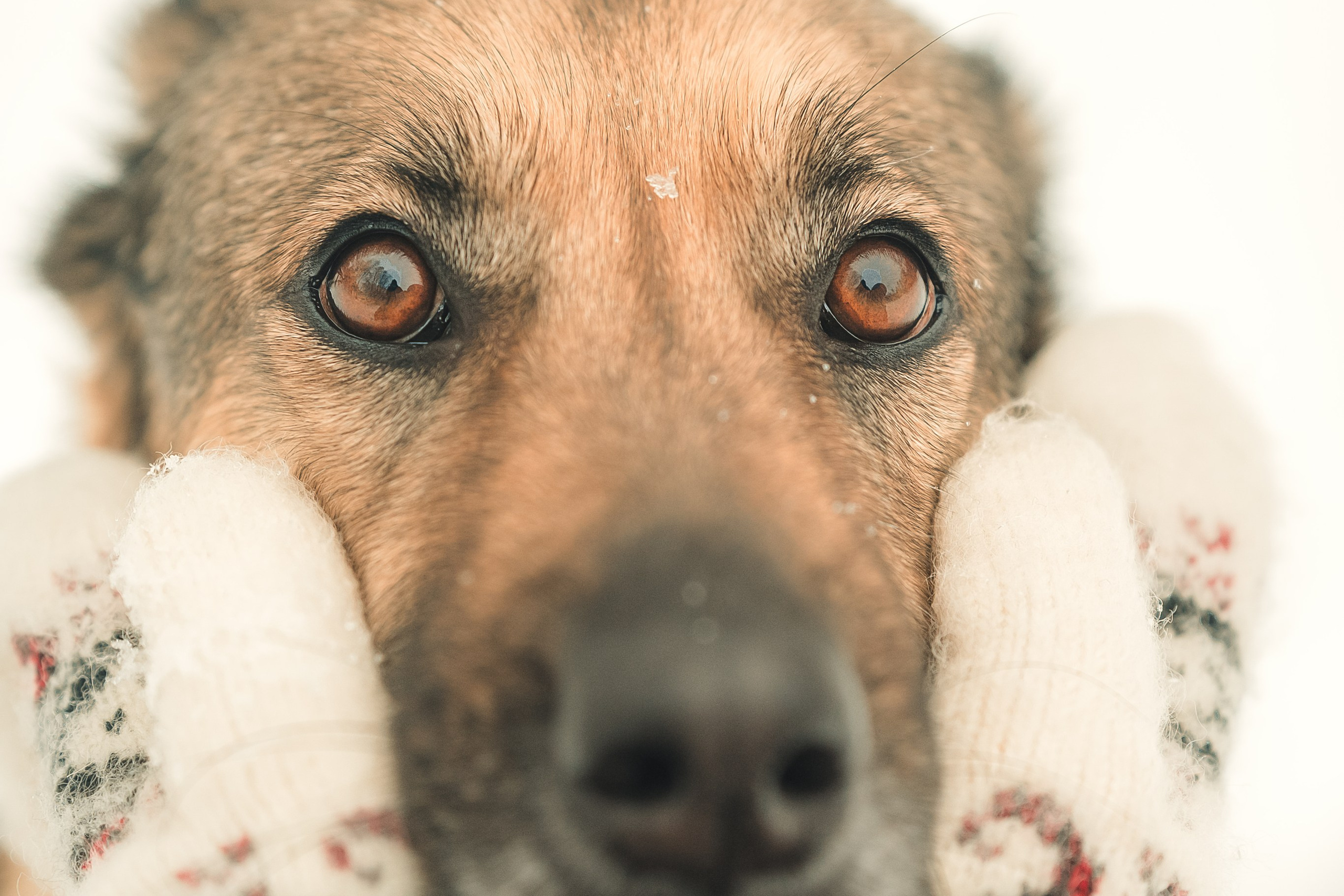 Анна и Руна