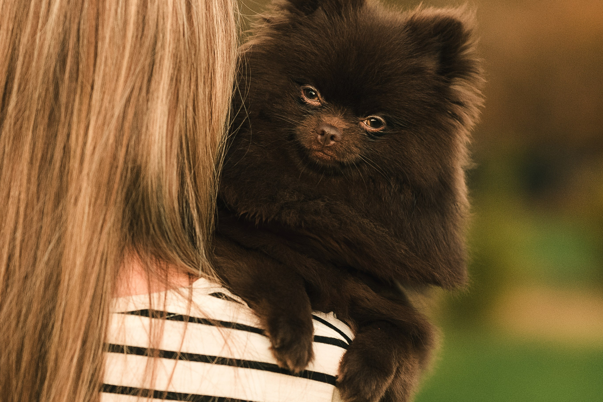 Людмила, Ника и шпицульки