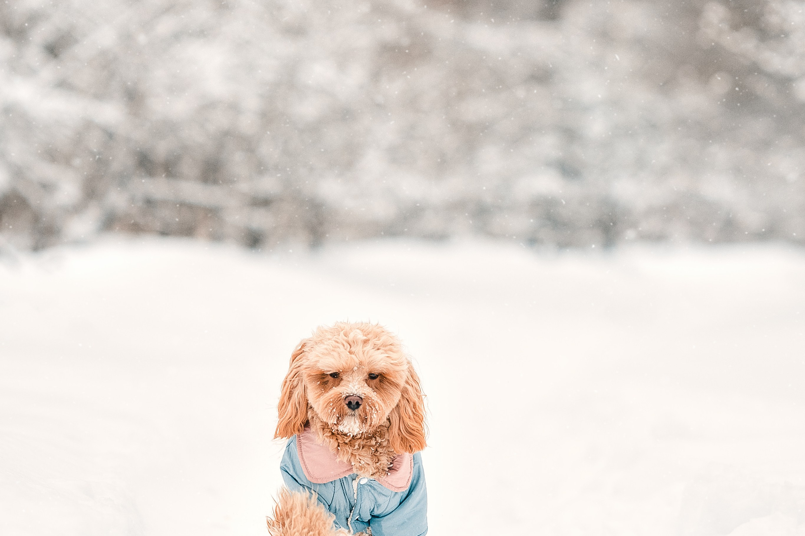 Марина и Чарли