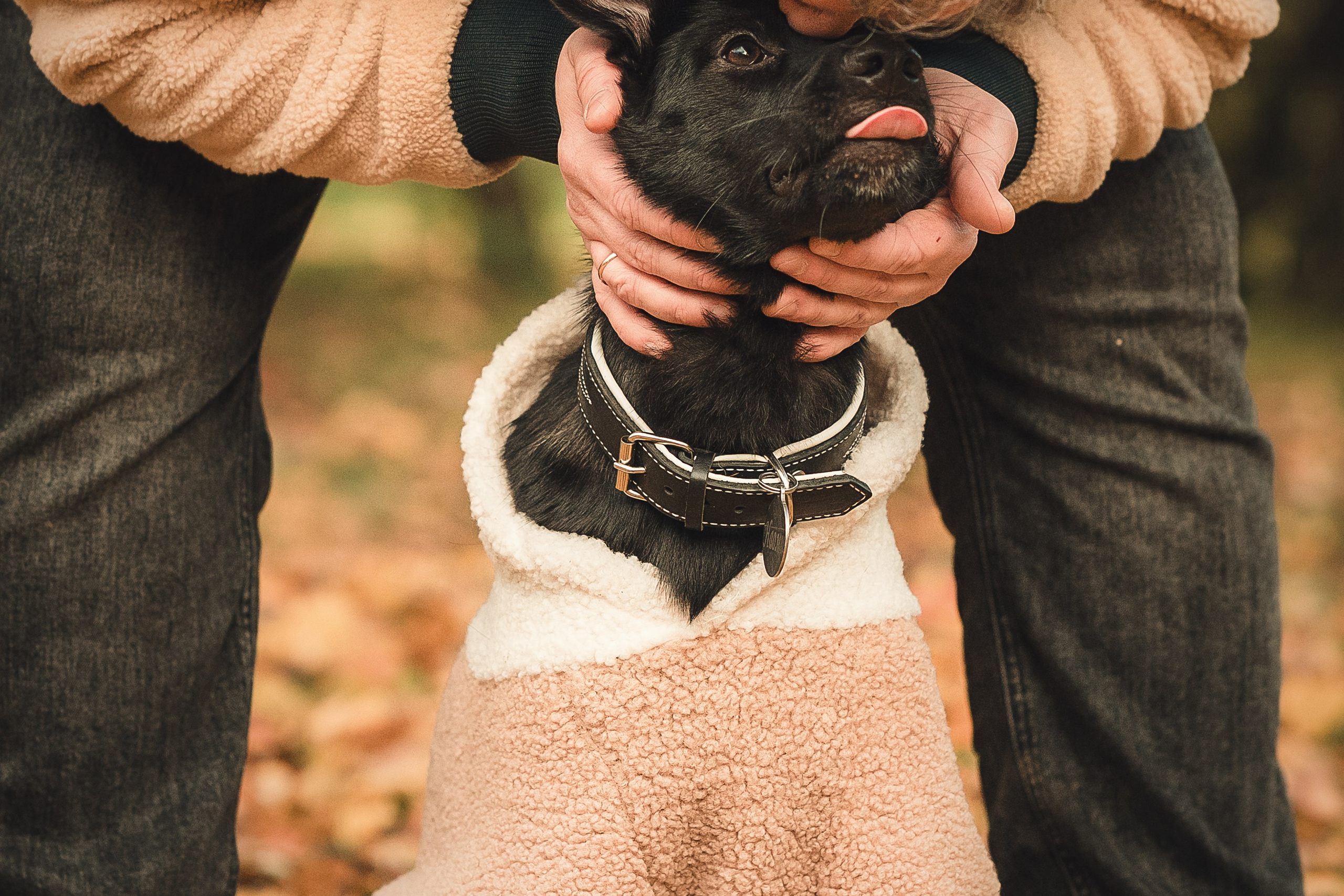 Полина, Антон и Наоми