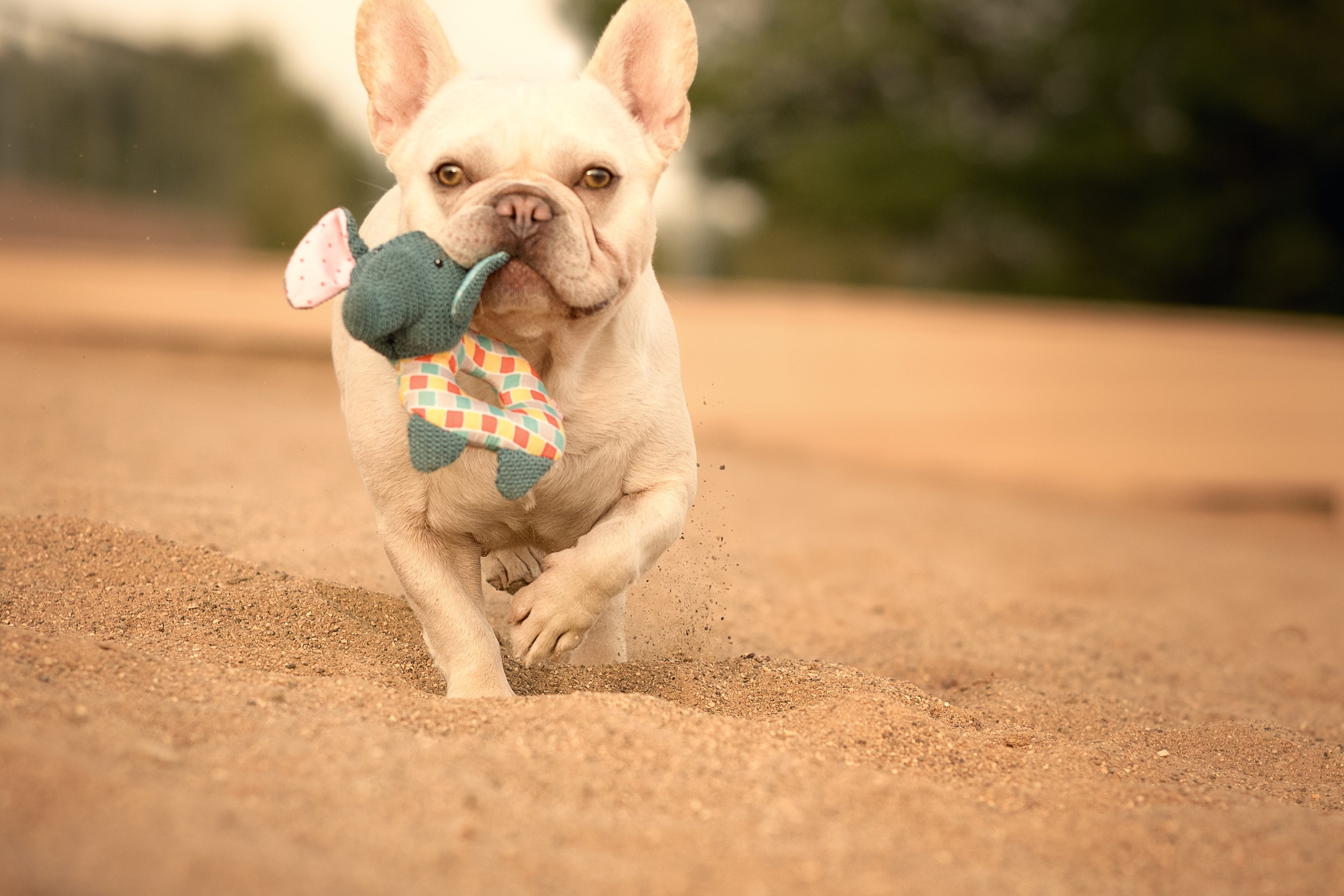 Светлана и Маруся