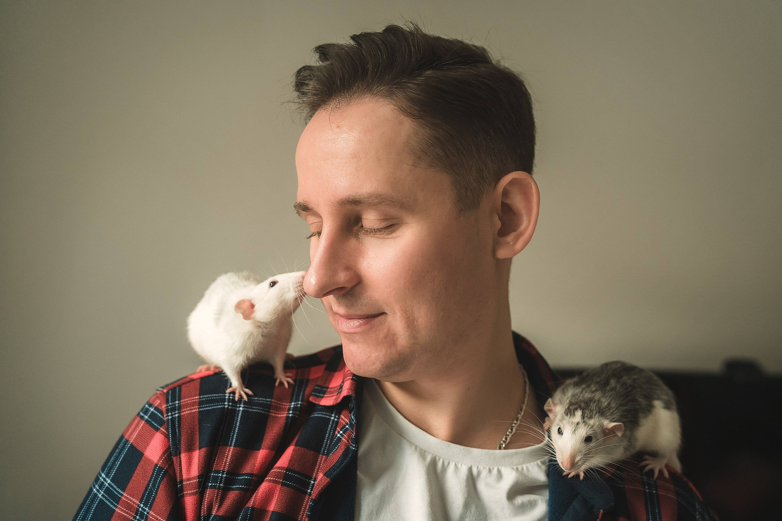 Домашняя история с крысиками