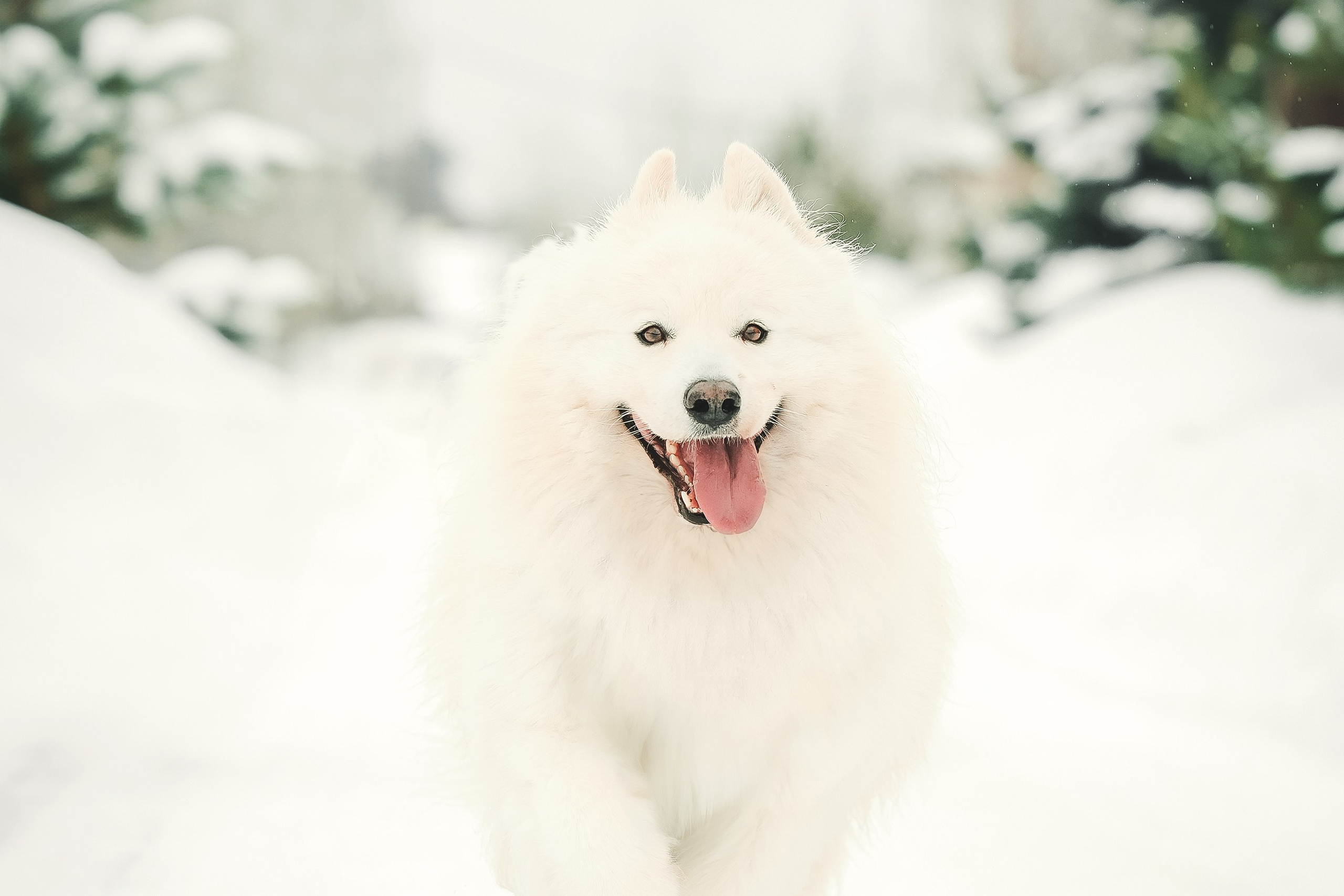 Юрий, Марианна и Санни