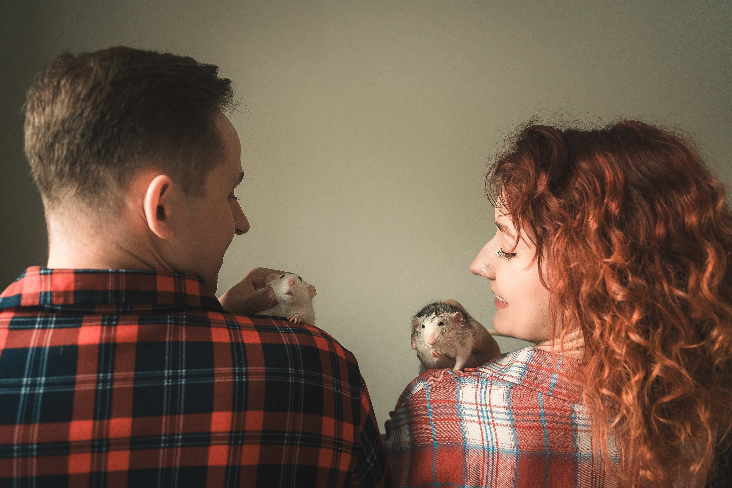 Домашняя история с крысиками