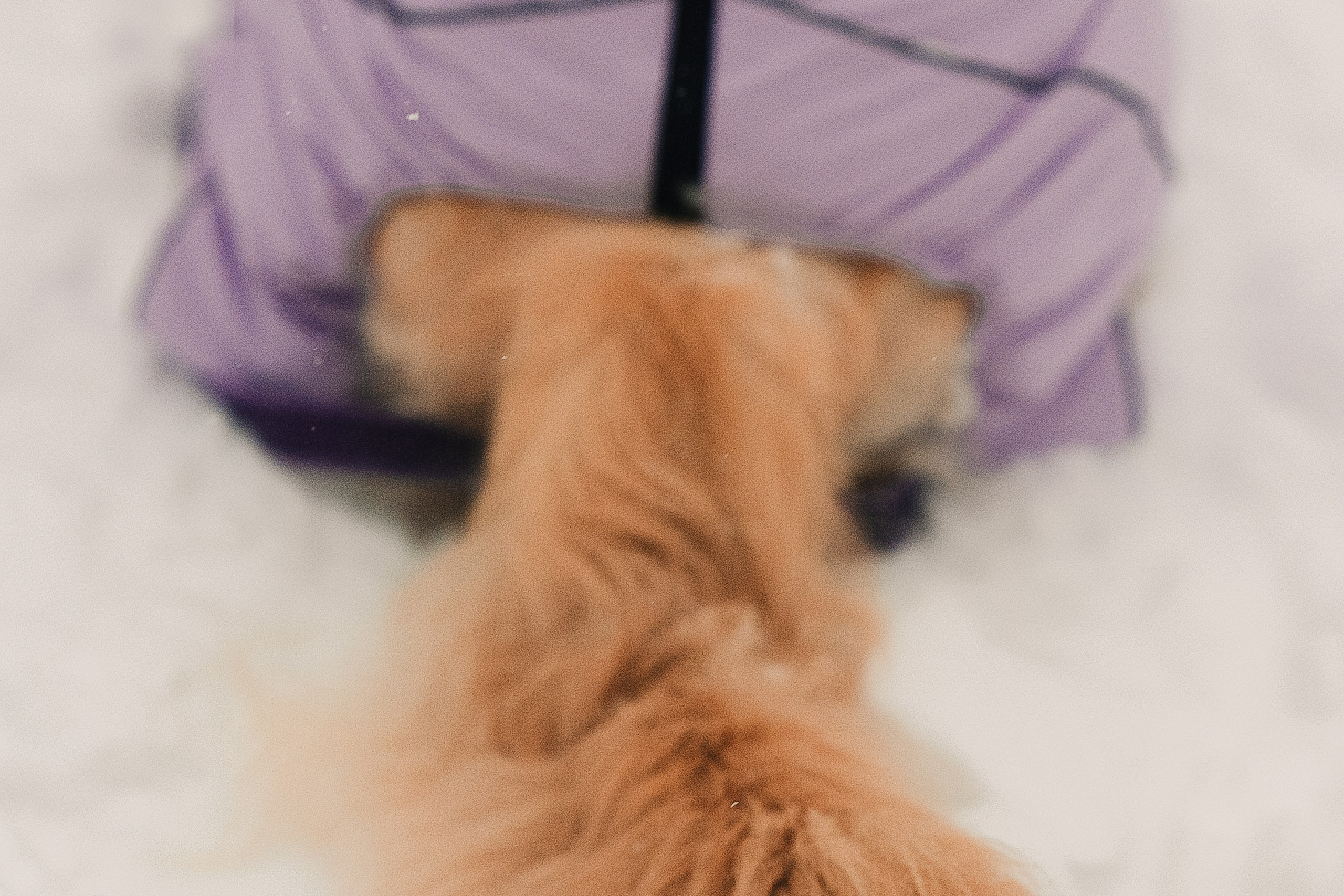 Анна и Сонечка