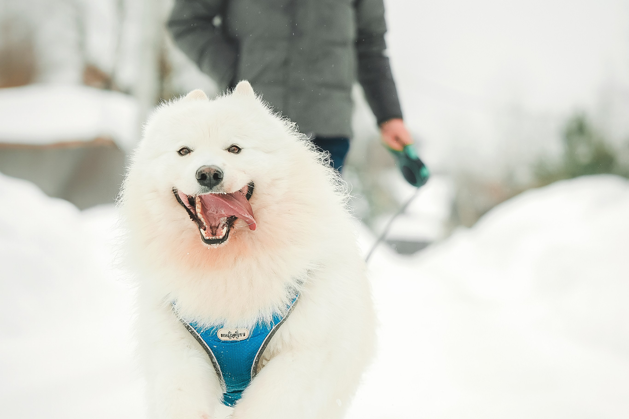 Юрий, Марианна и Санни