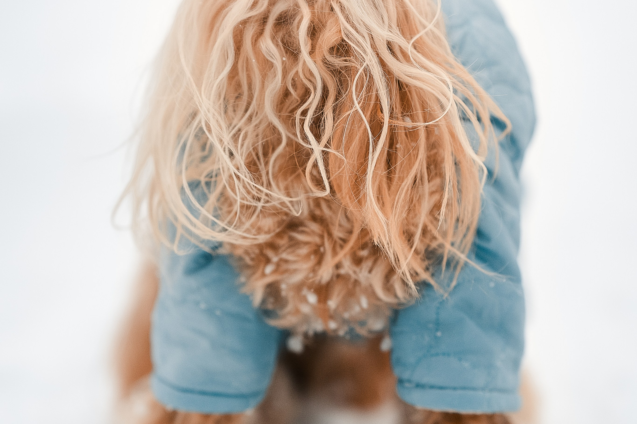 Фотосессия с собакой в парке Москва