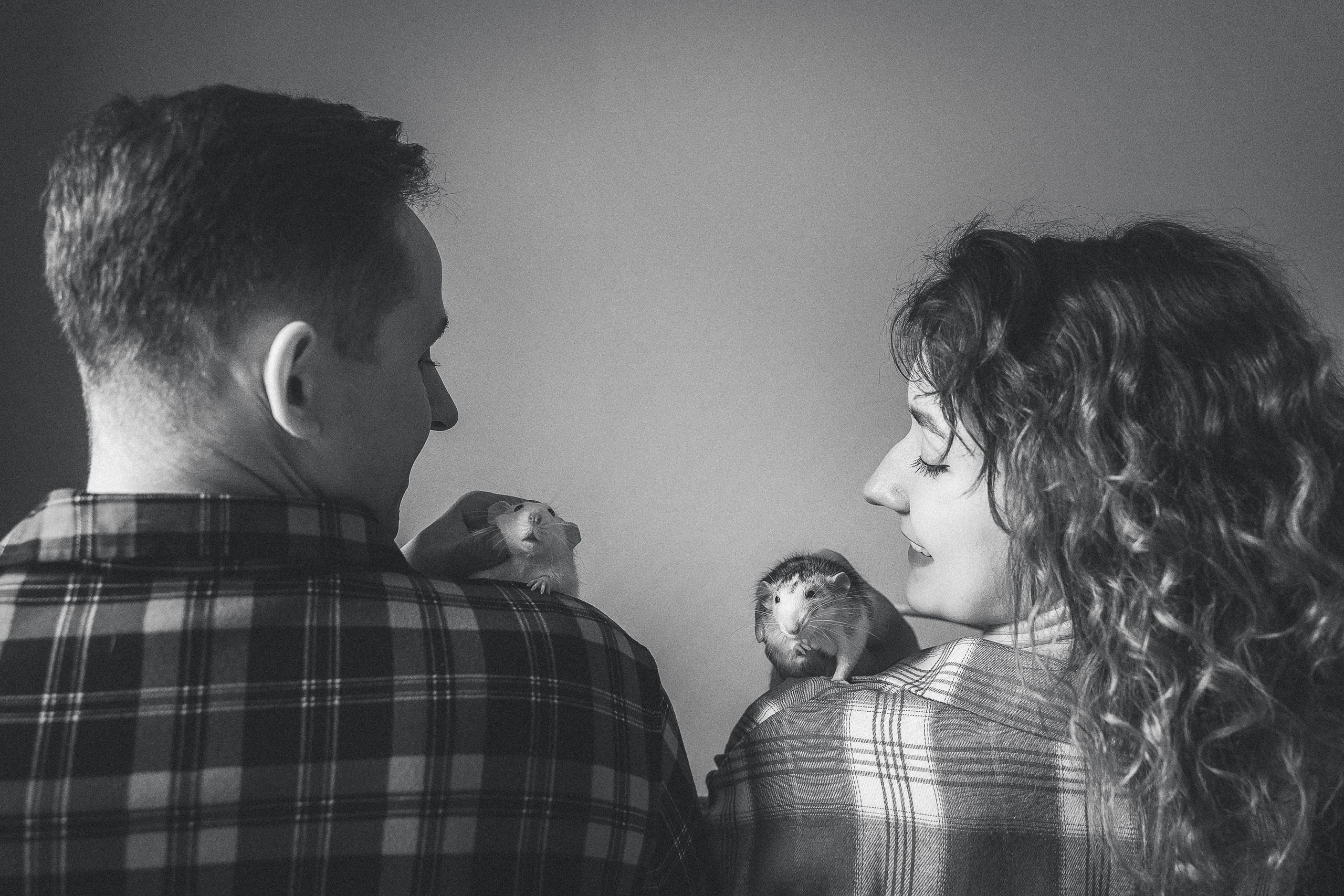 Домашняя история с крысиками