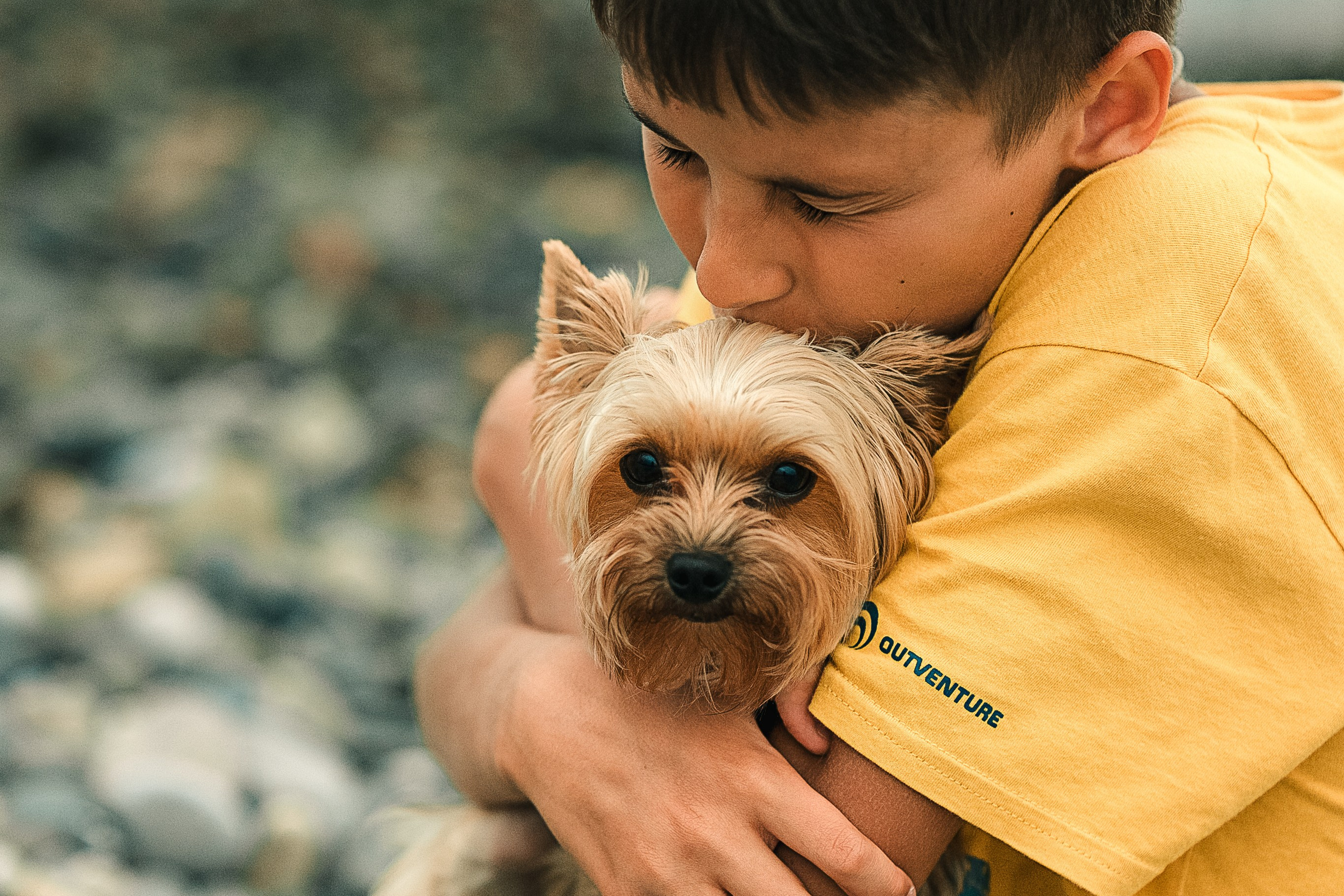 фотограф собак Москва