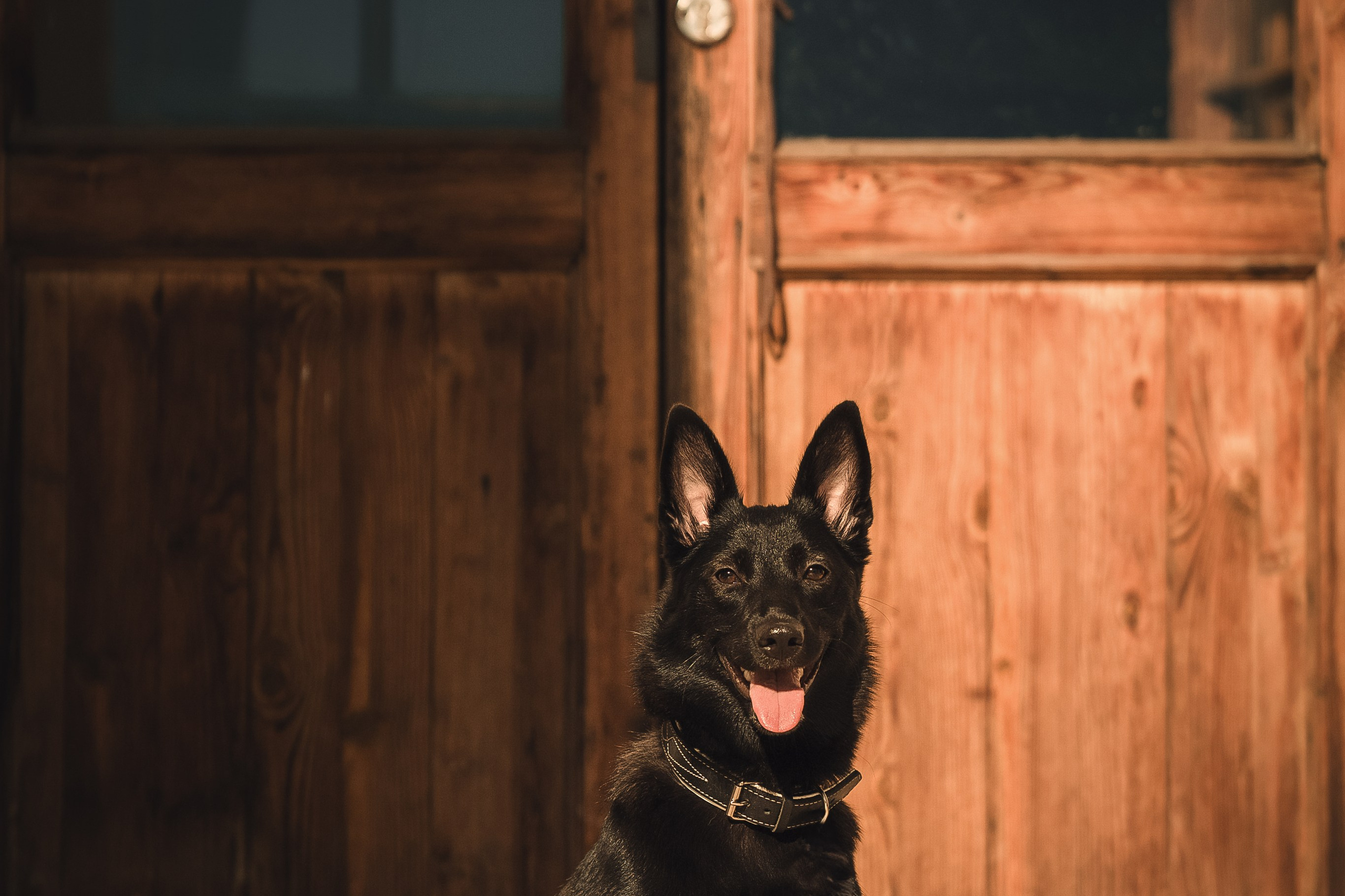 Полина, Антон и Наоми