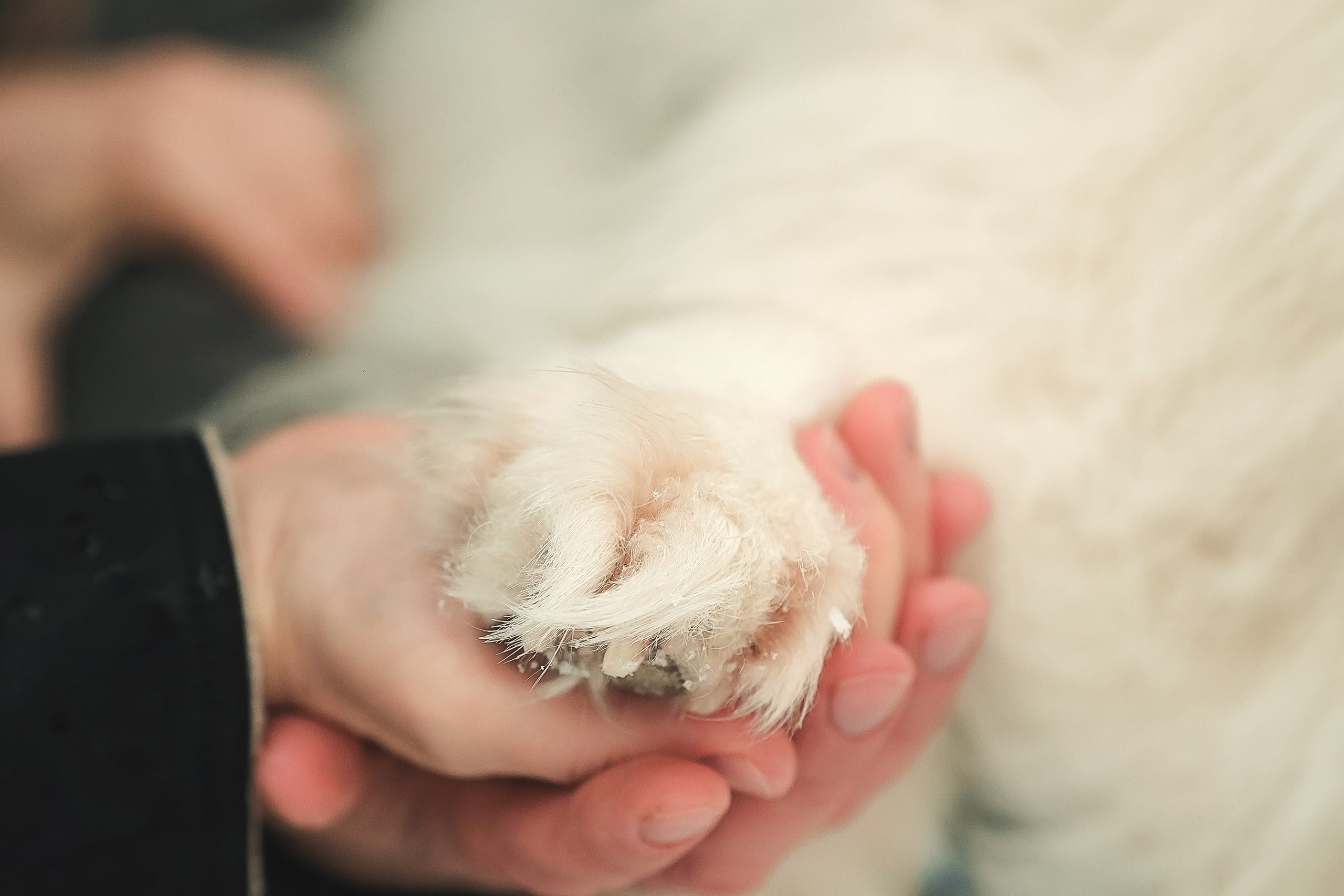 Юрий, Марианна и Санни