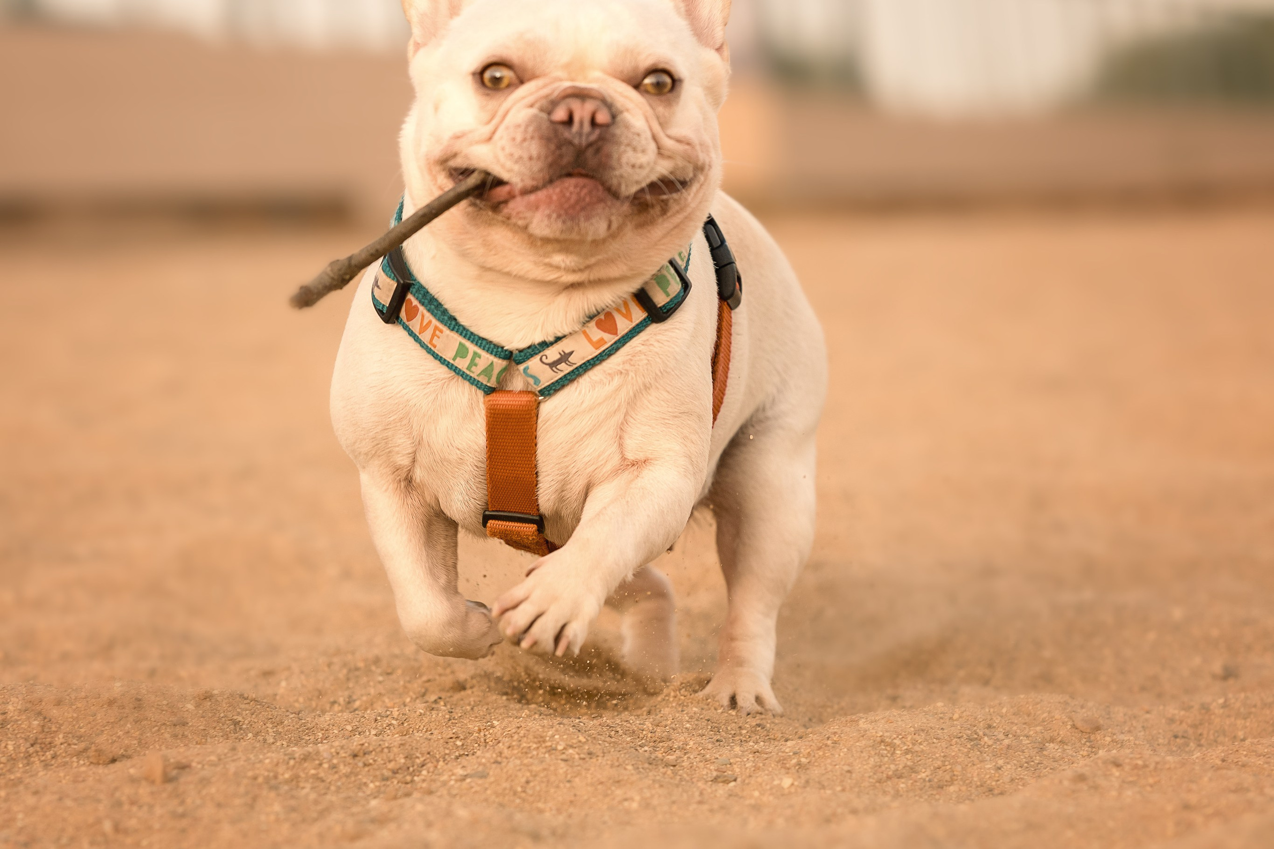 Светлана и Маруся