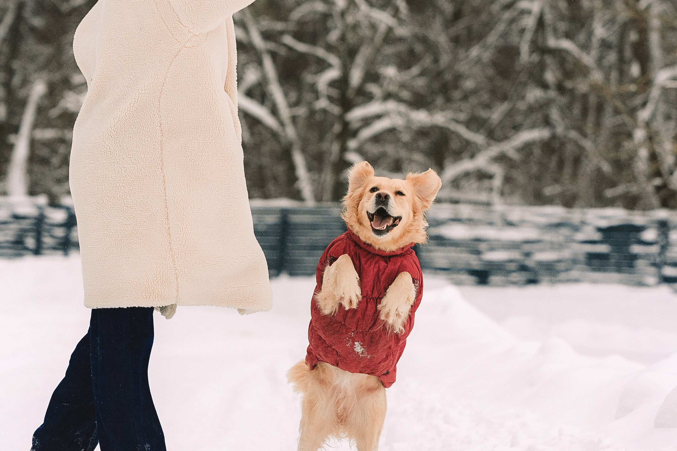 Анна и Сонечка