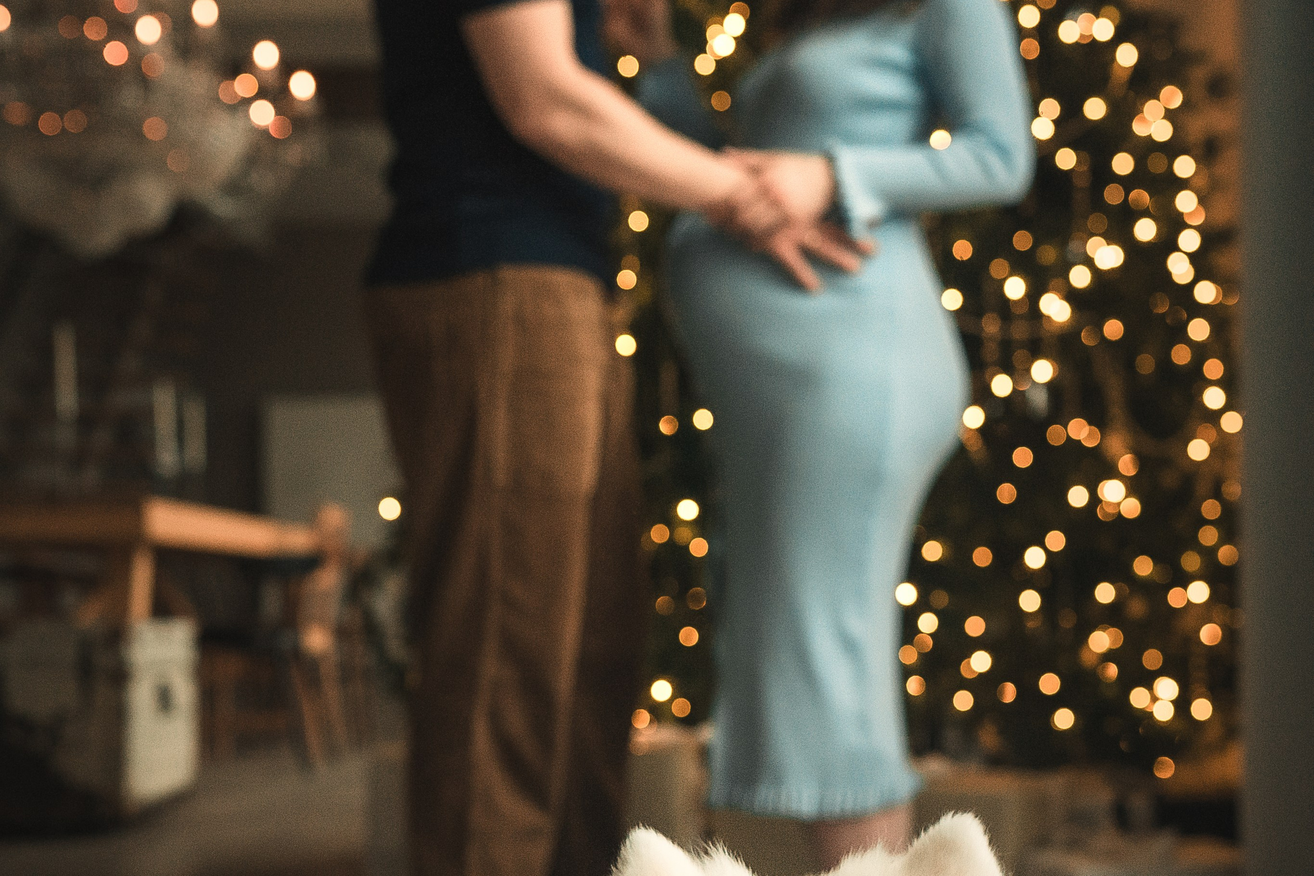 Лиза, Давид и два хвостатых облачка