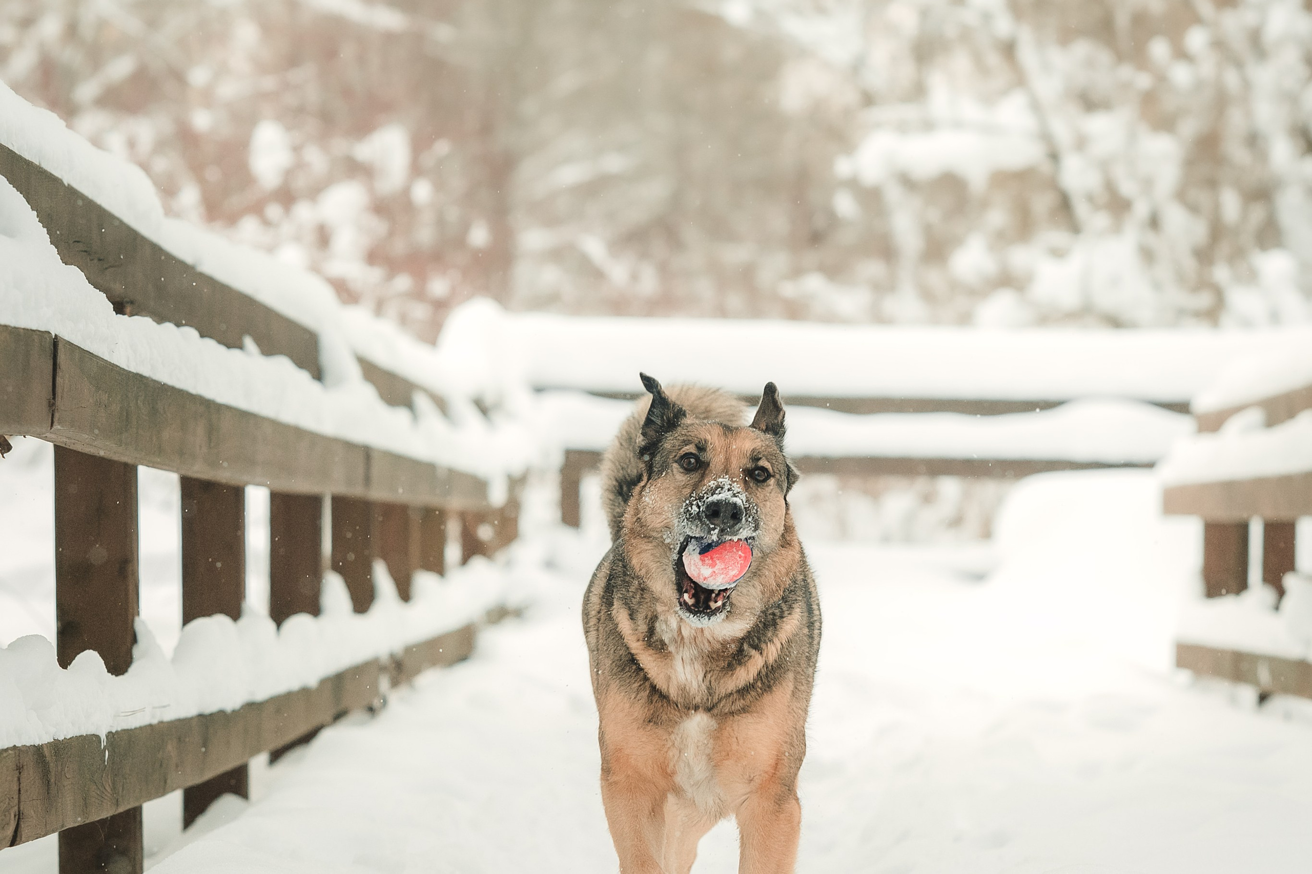 Анна и Руна