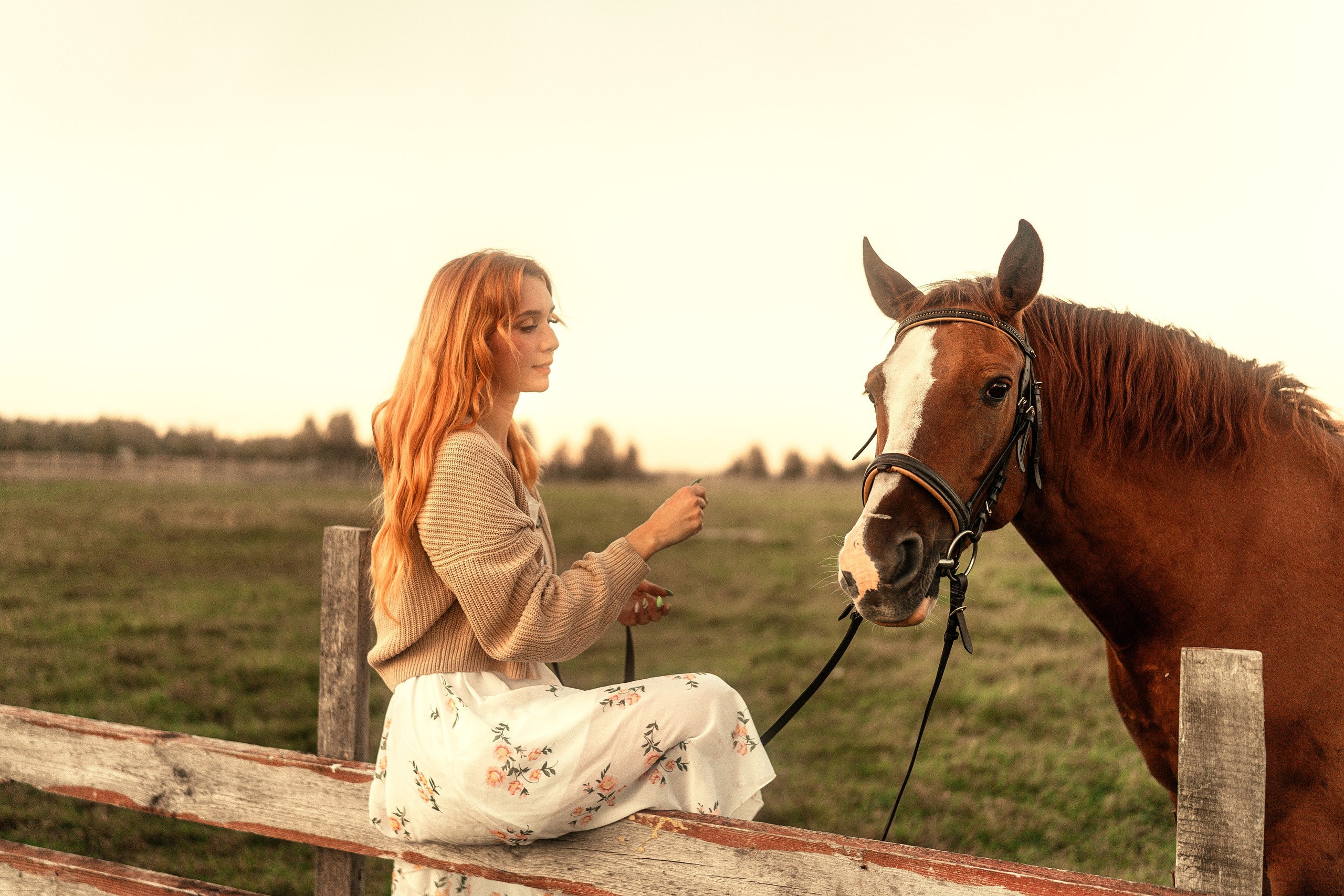 Фотограф-анималист Москва