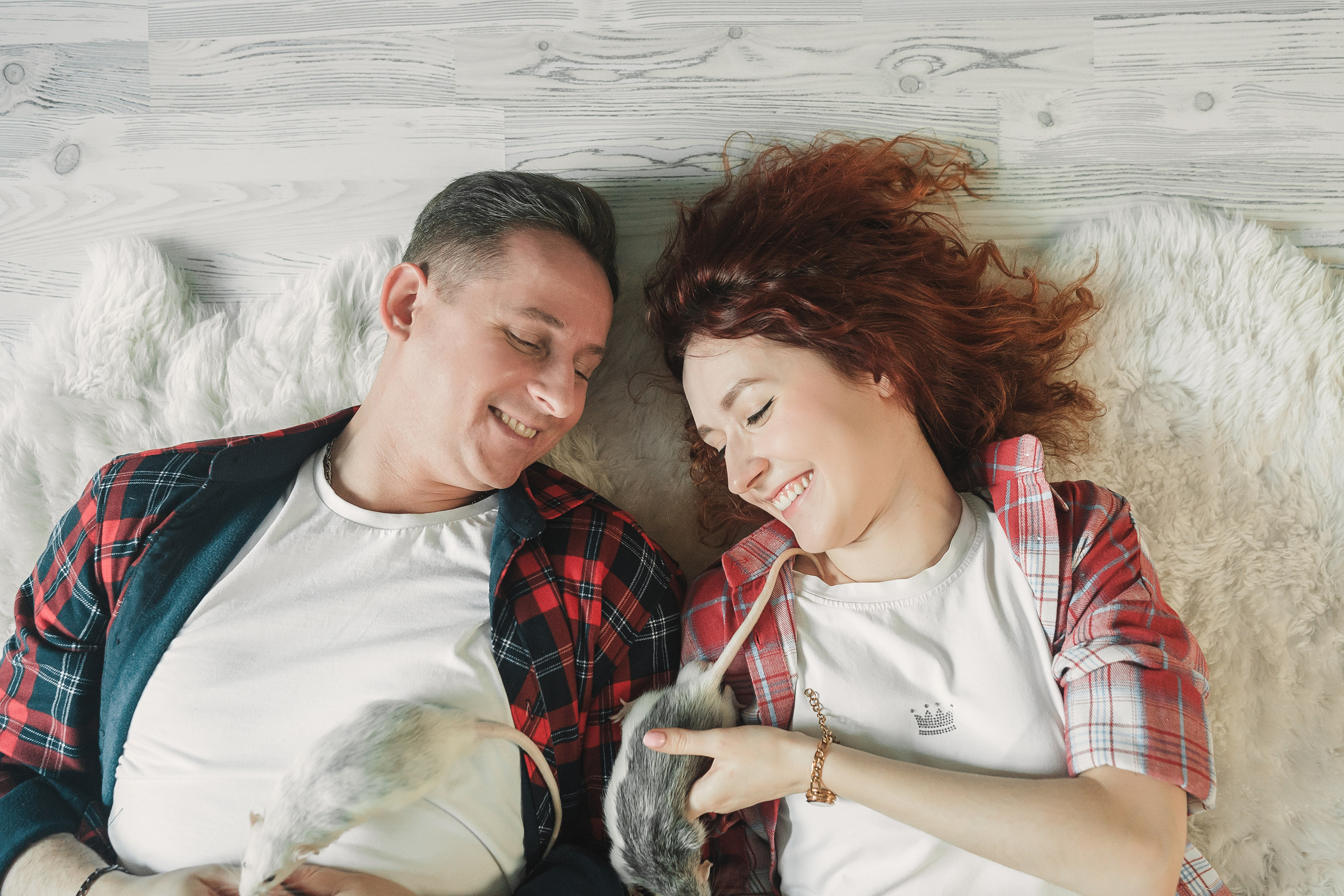 Домашняя история с крысиками