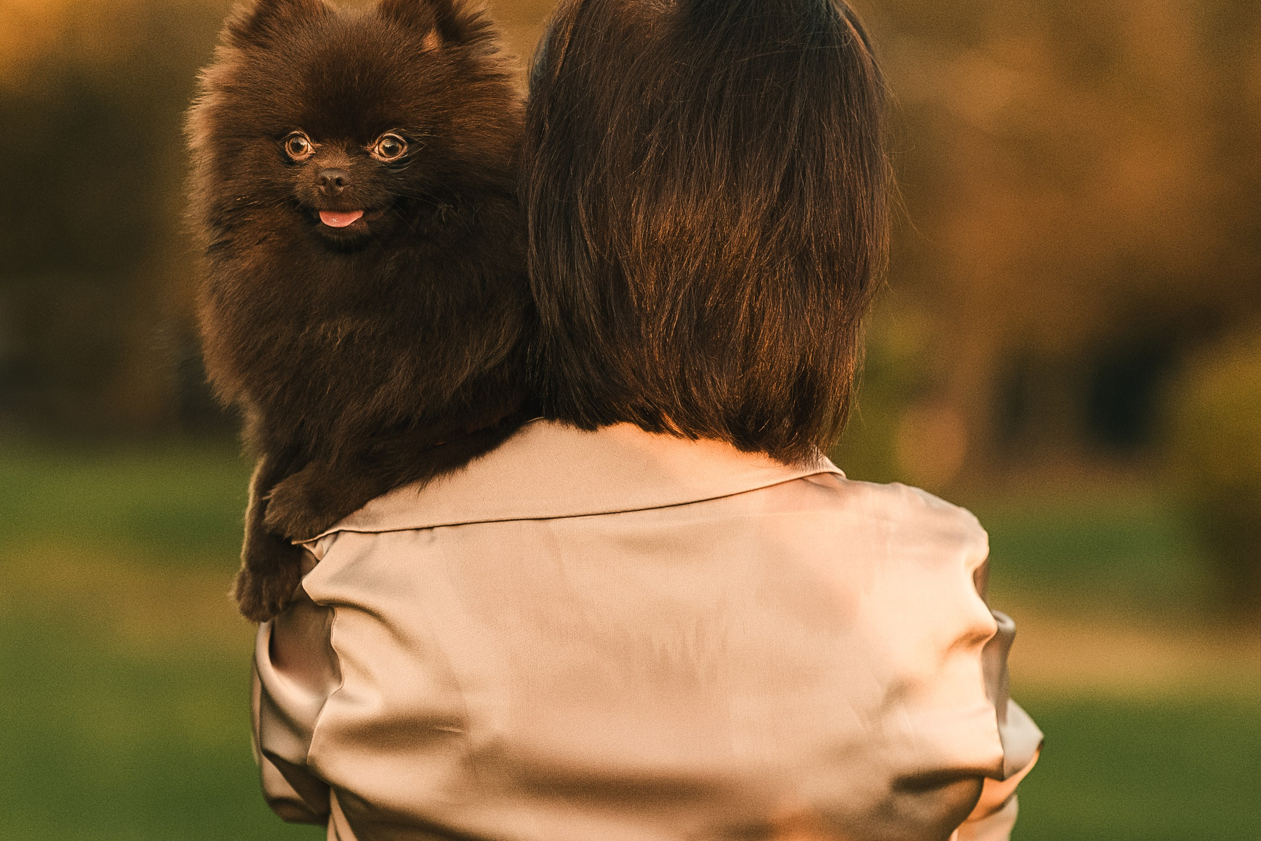 Людмила, Ника и шпицульки