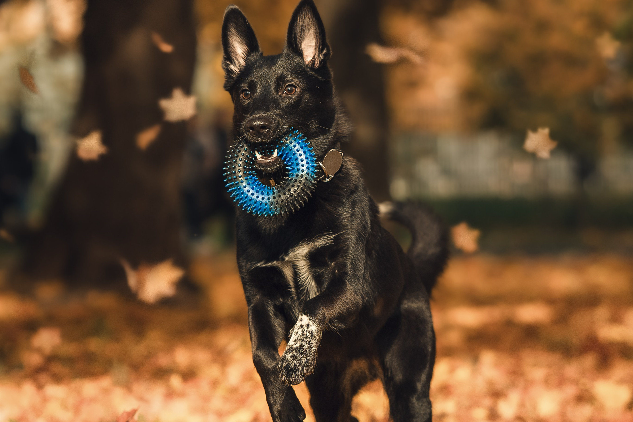 Полина, Антон и Наоми