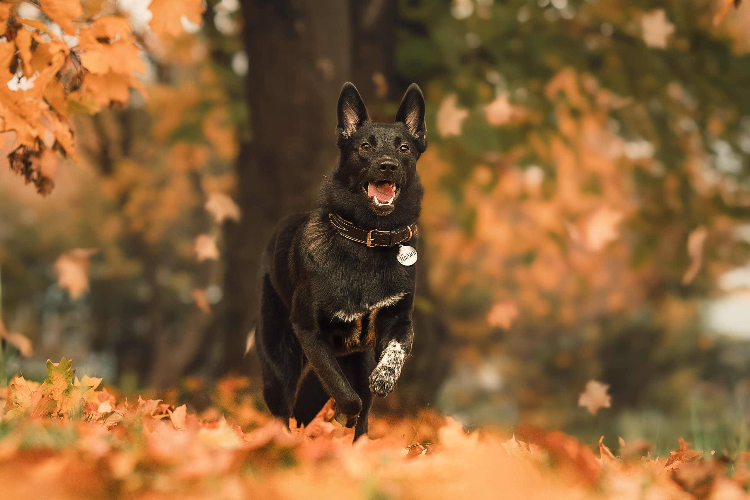 Полина, Антон и Наоми