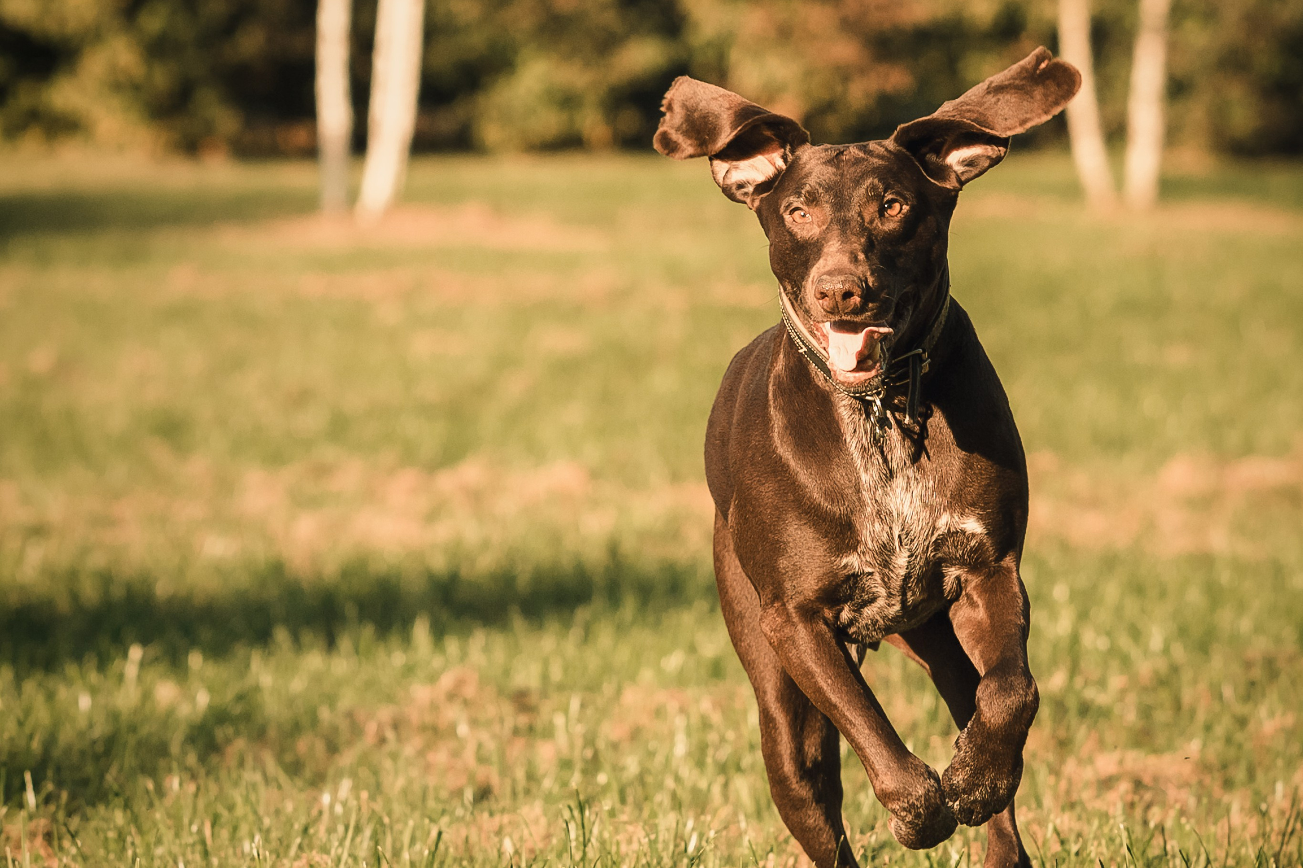 Наталья и Рица