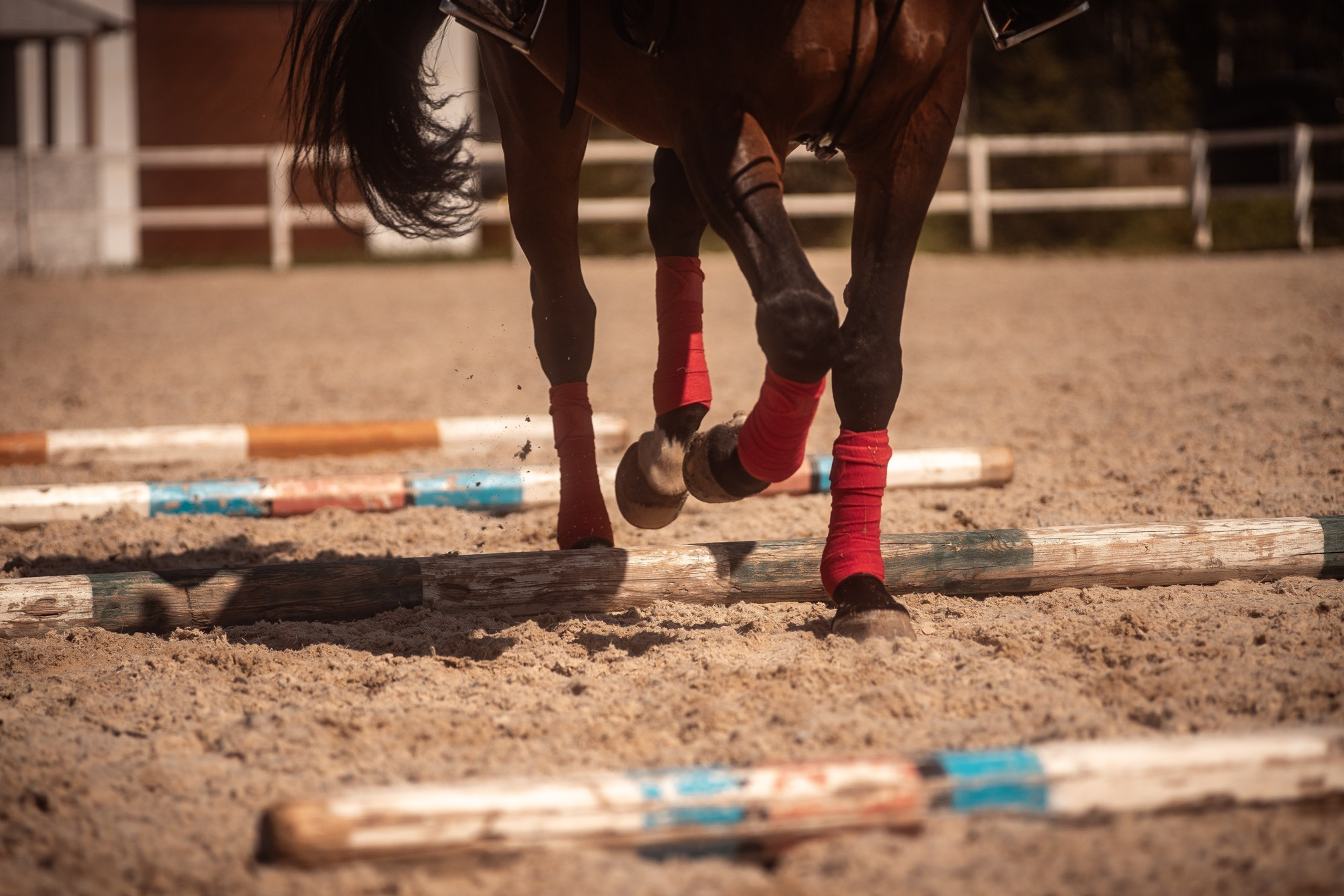 Съёмки с лошадьми