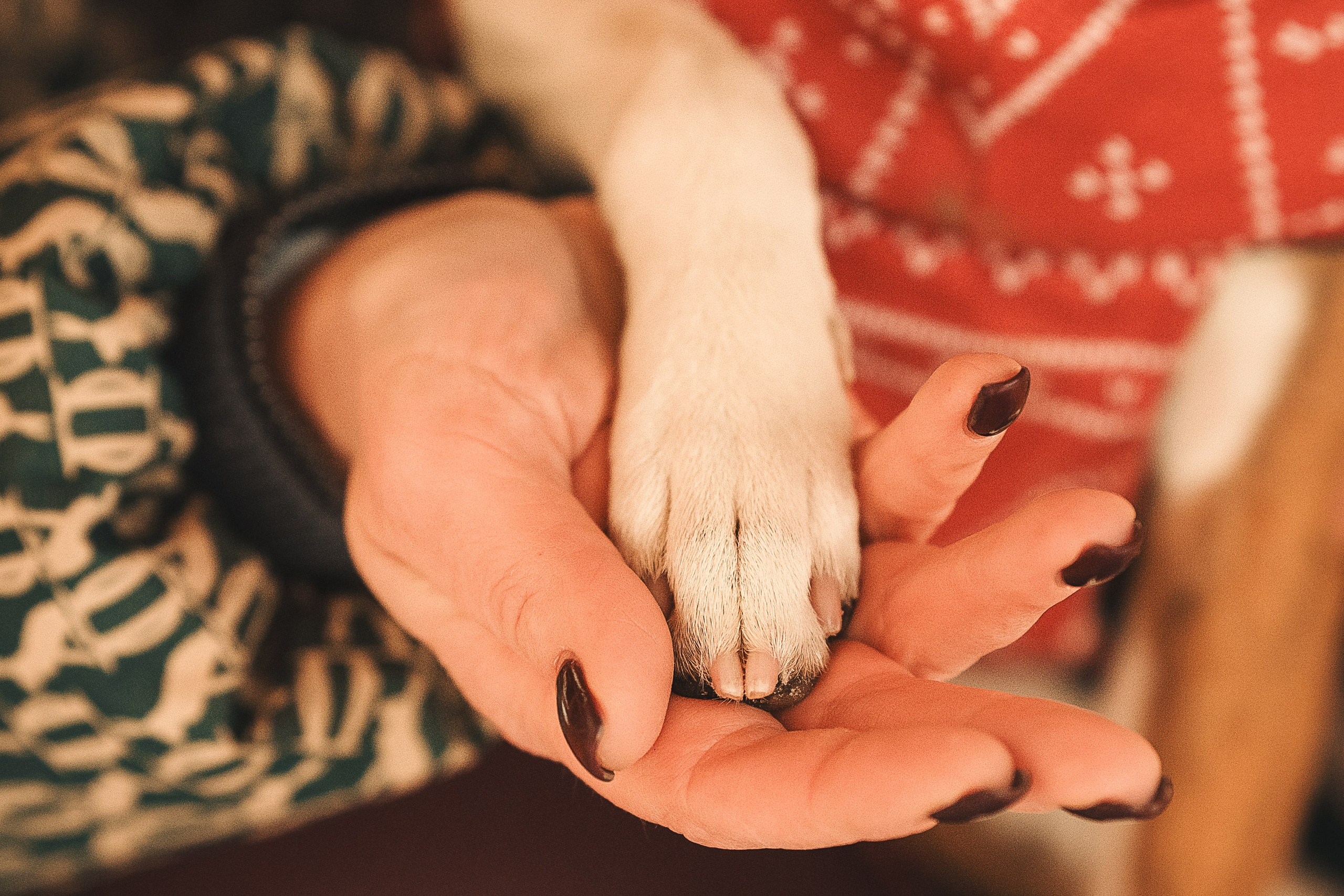 Прогулка по Арбату. Светлана и Ева