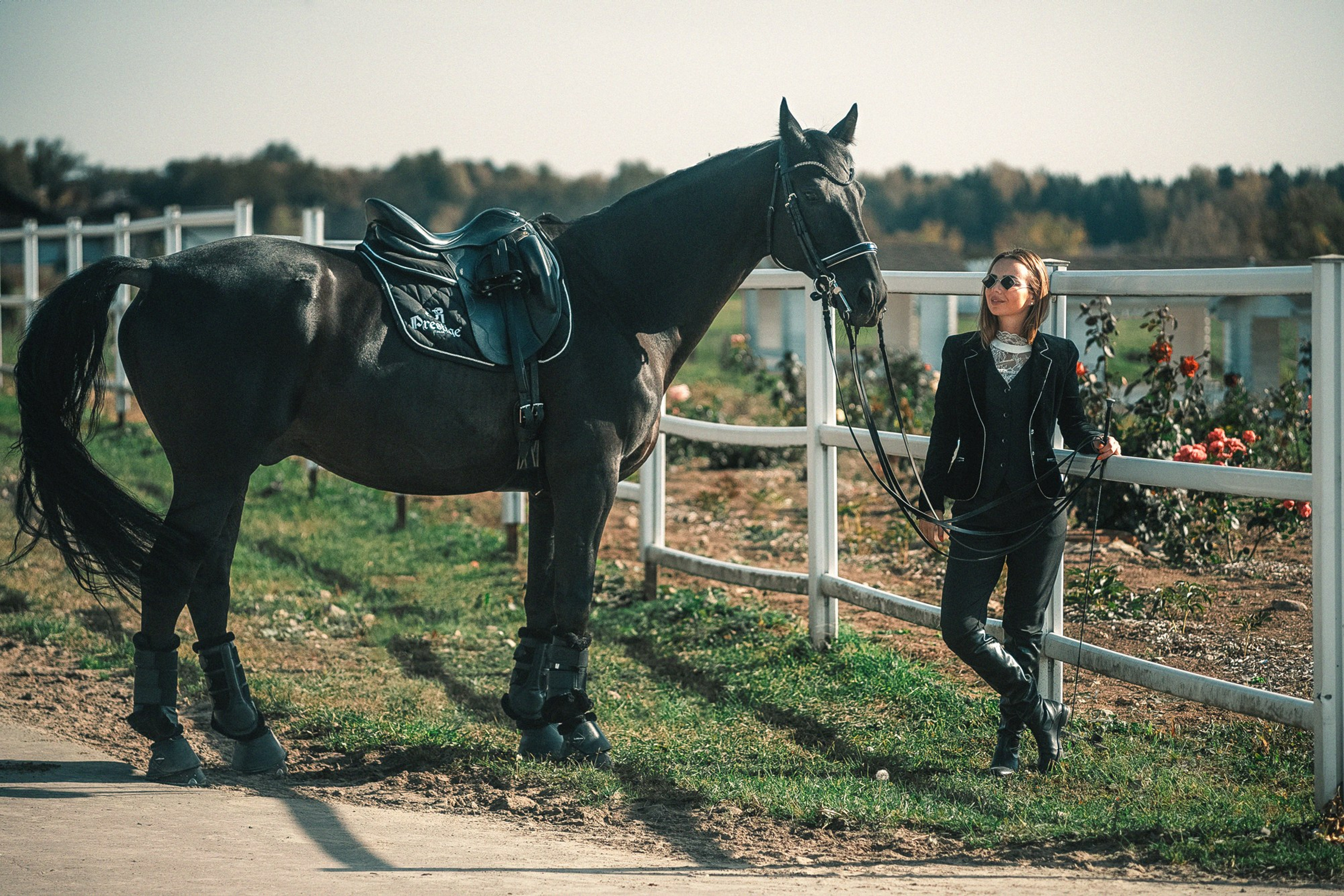 Съёмки с лошадьми