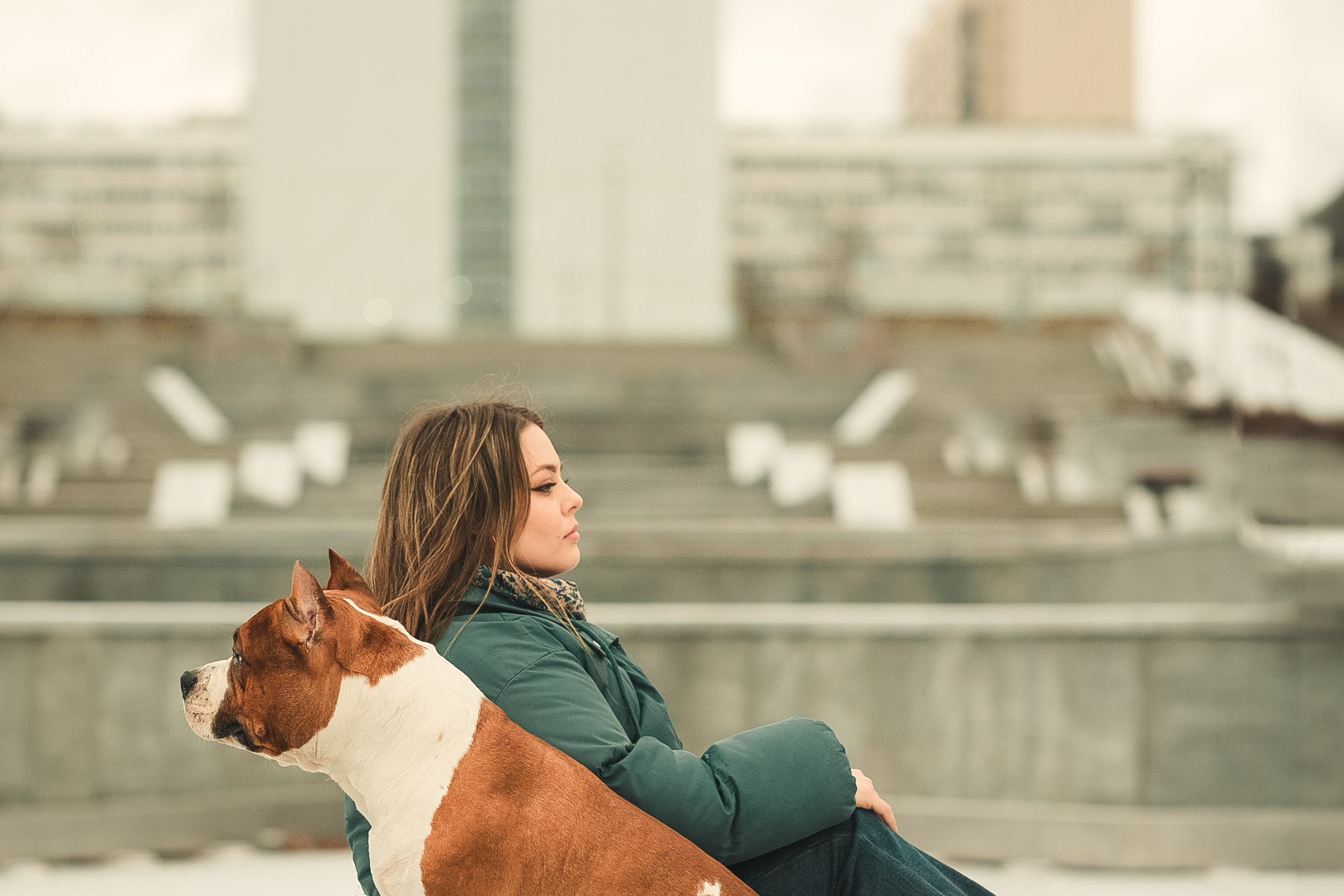 Анна и Феникс