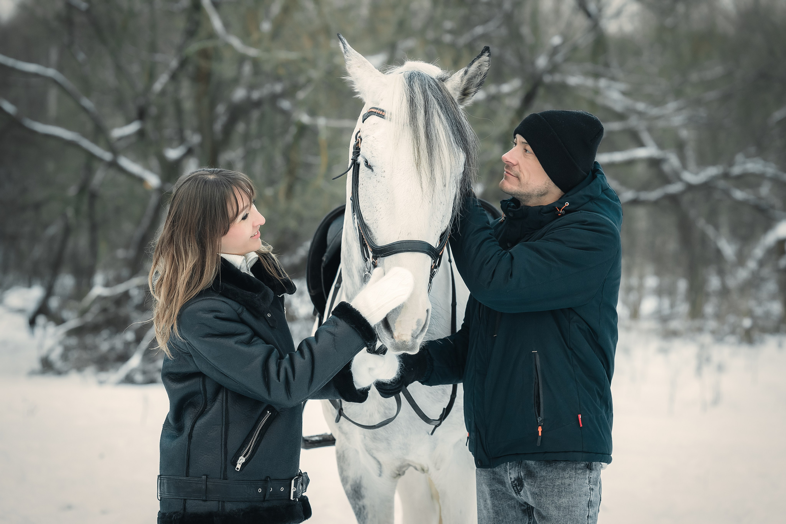 Съёмки с лошадьми
