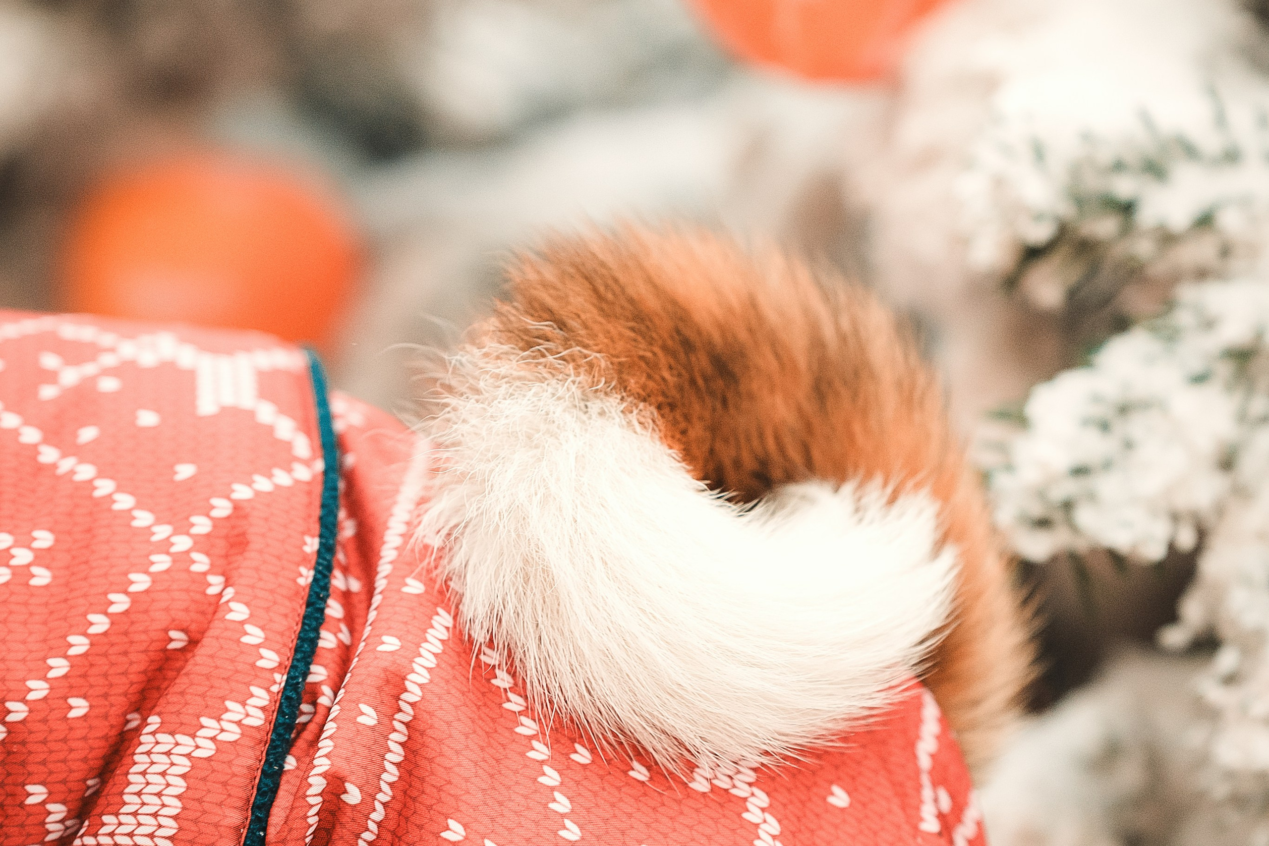 Прогулка по Арбату. Светлана и Ева